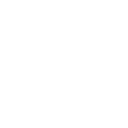 GaN Systems