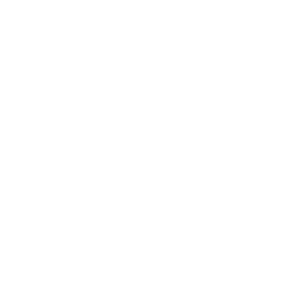 Zendrive