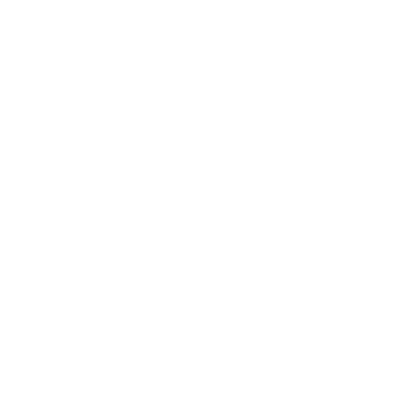 Fox Robotics