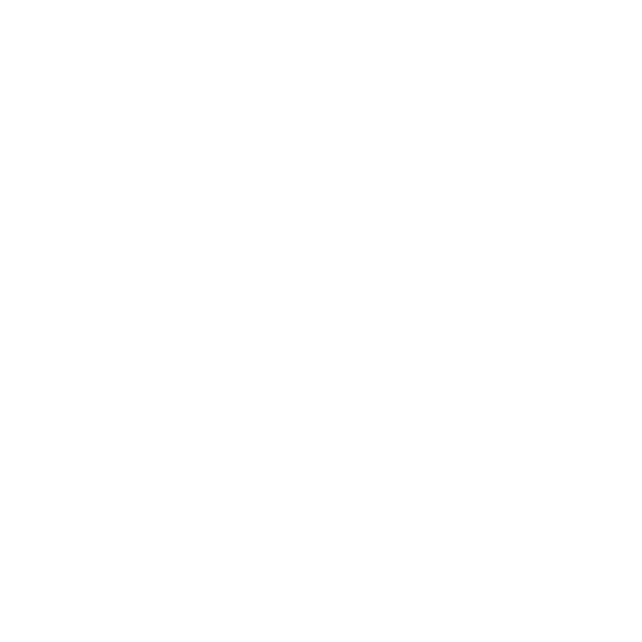 Our Next Energy