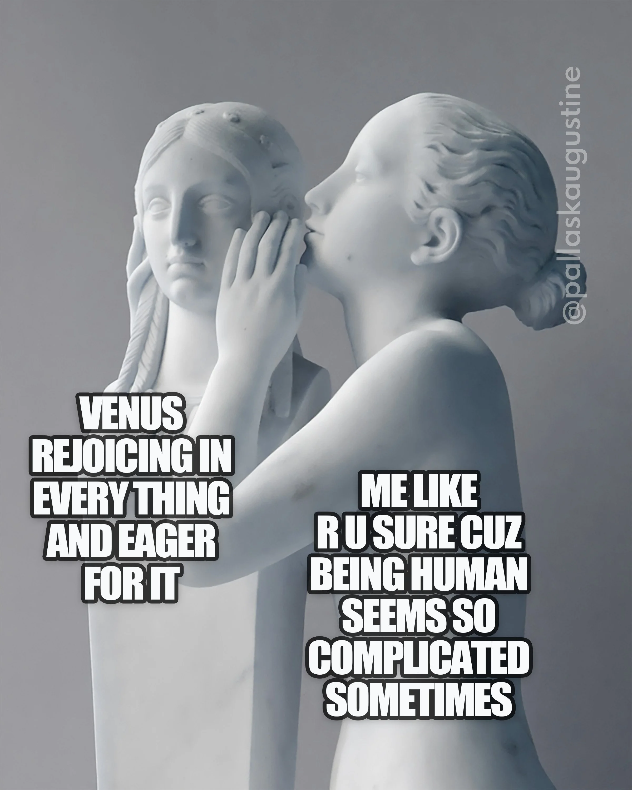 Venus Cycles — The Writing, Astrology, & Magic of Pallas K. Augustine