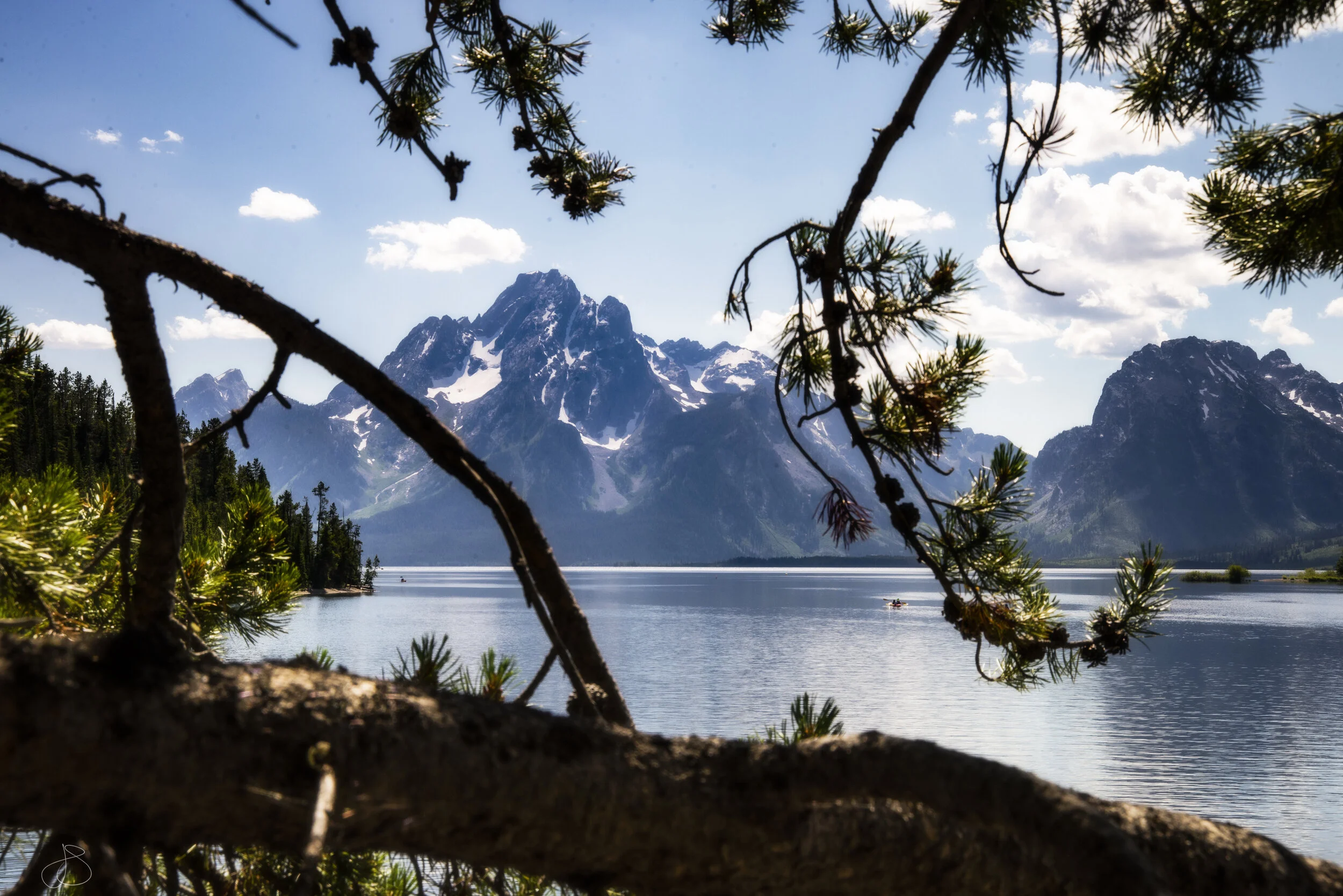 DSC_6379 jackson lake through trees.jpg
