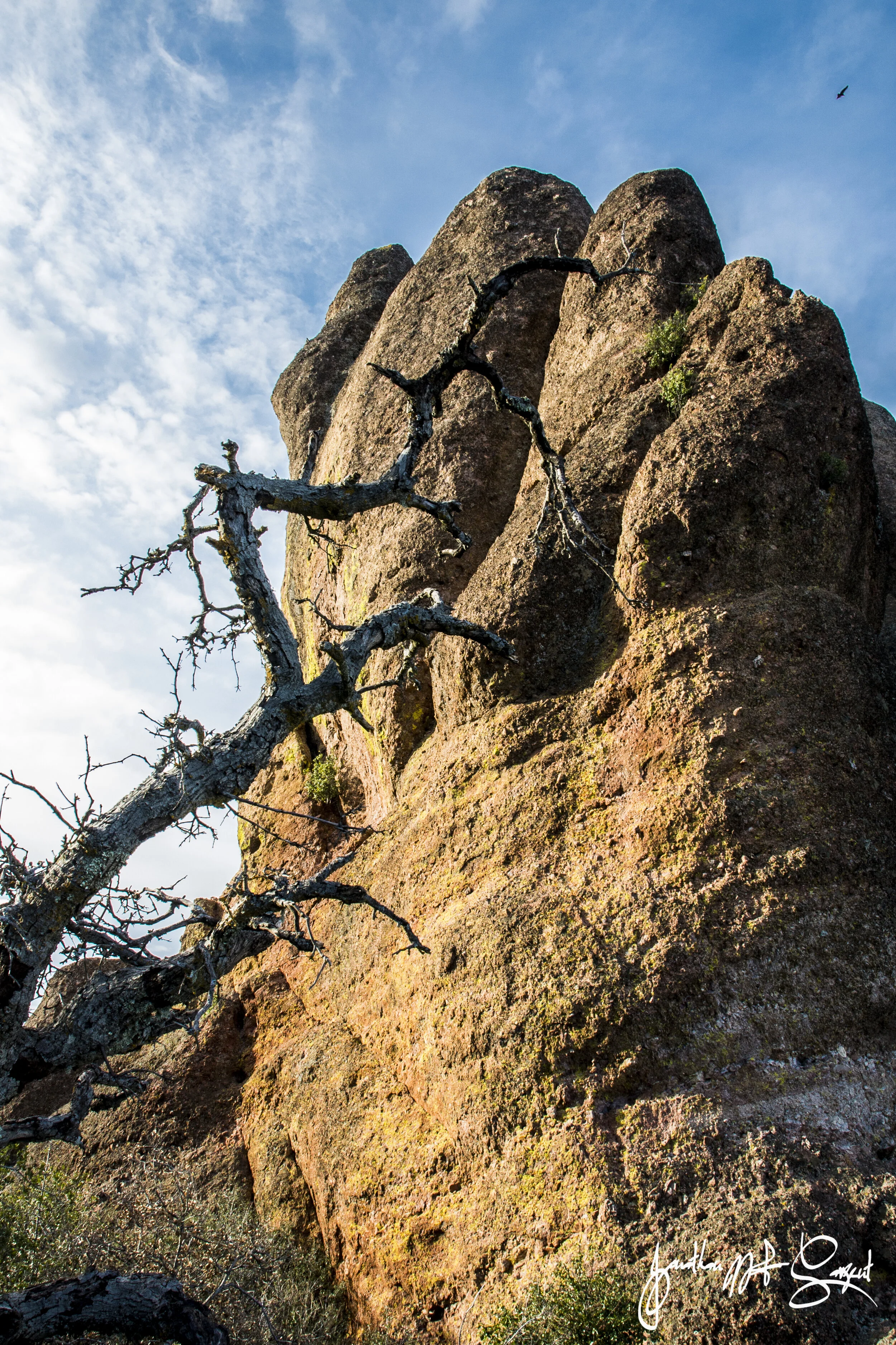 Tree n rock pinnacle.jpg
