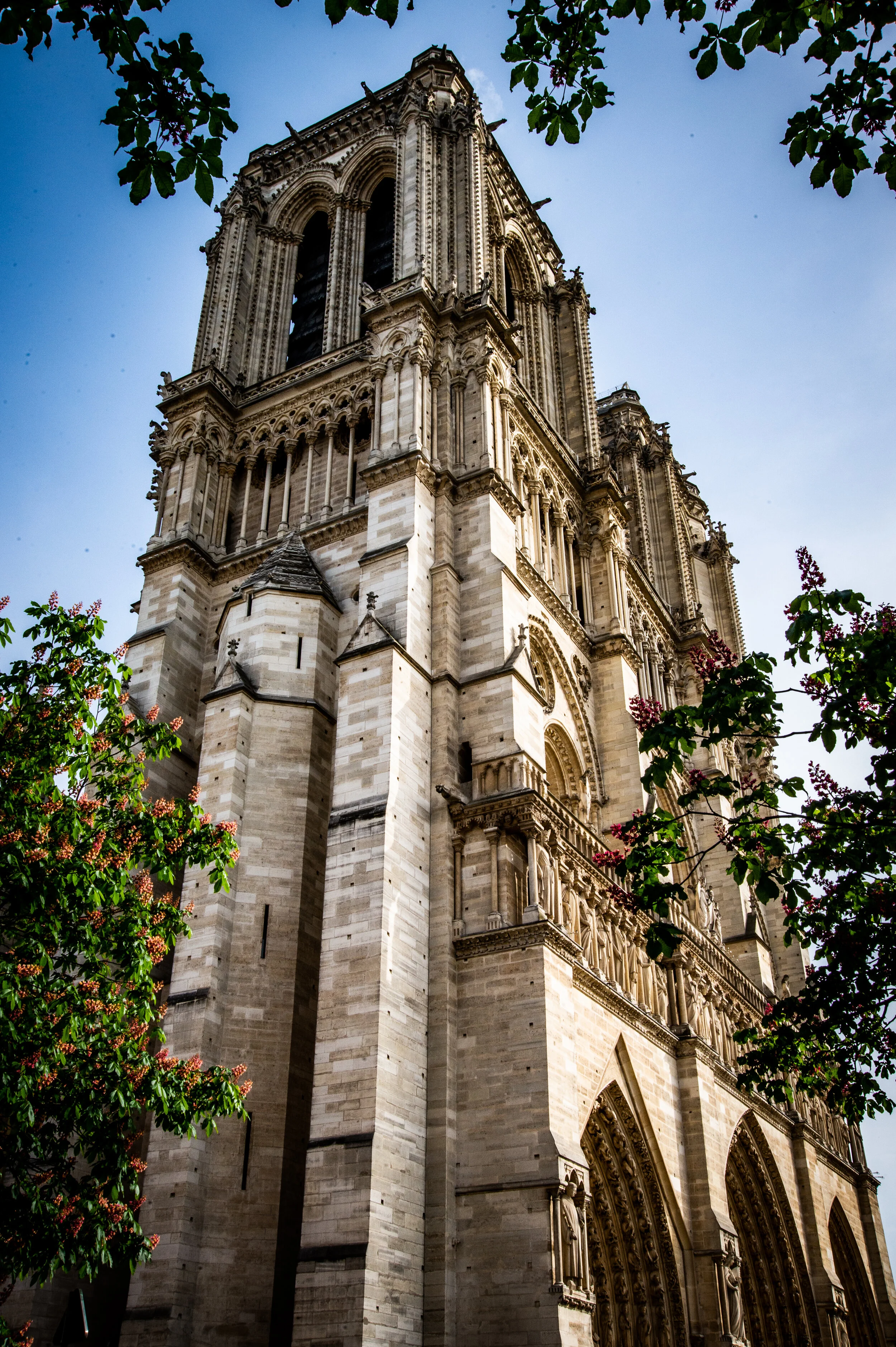 DSC_3349.jpg