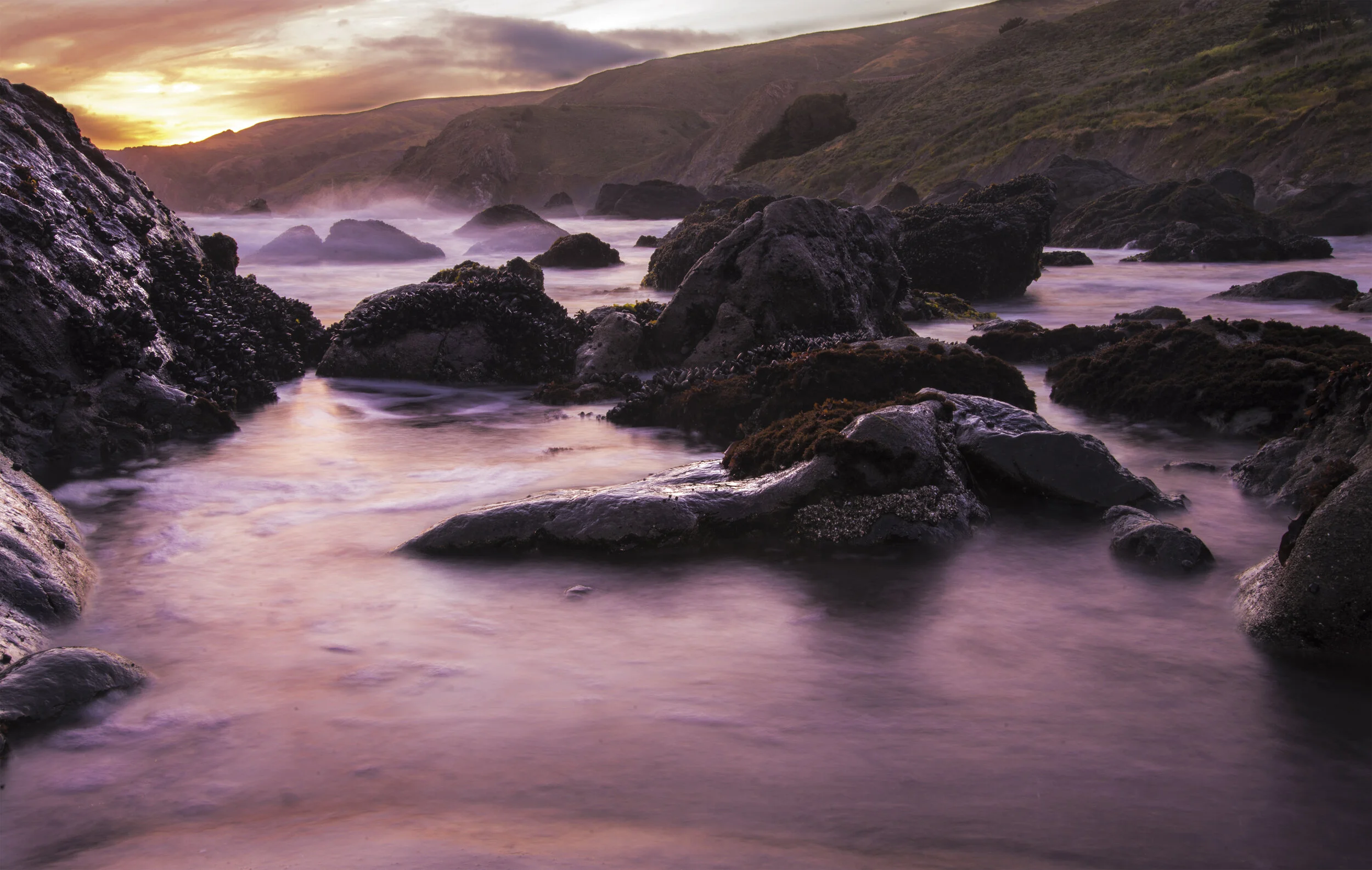 DSC_0145 mt tam purple sunset.jpg