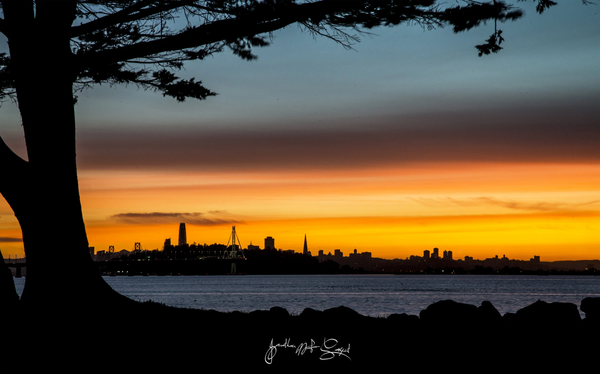 DSC_5222 SF sunset tree silhouette.jpg