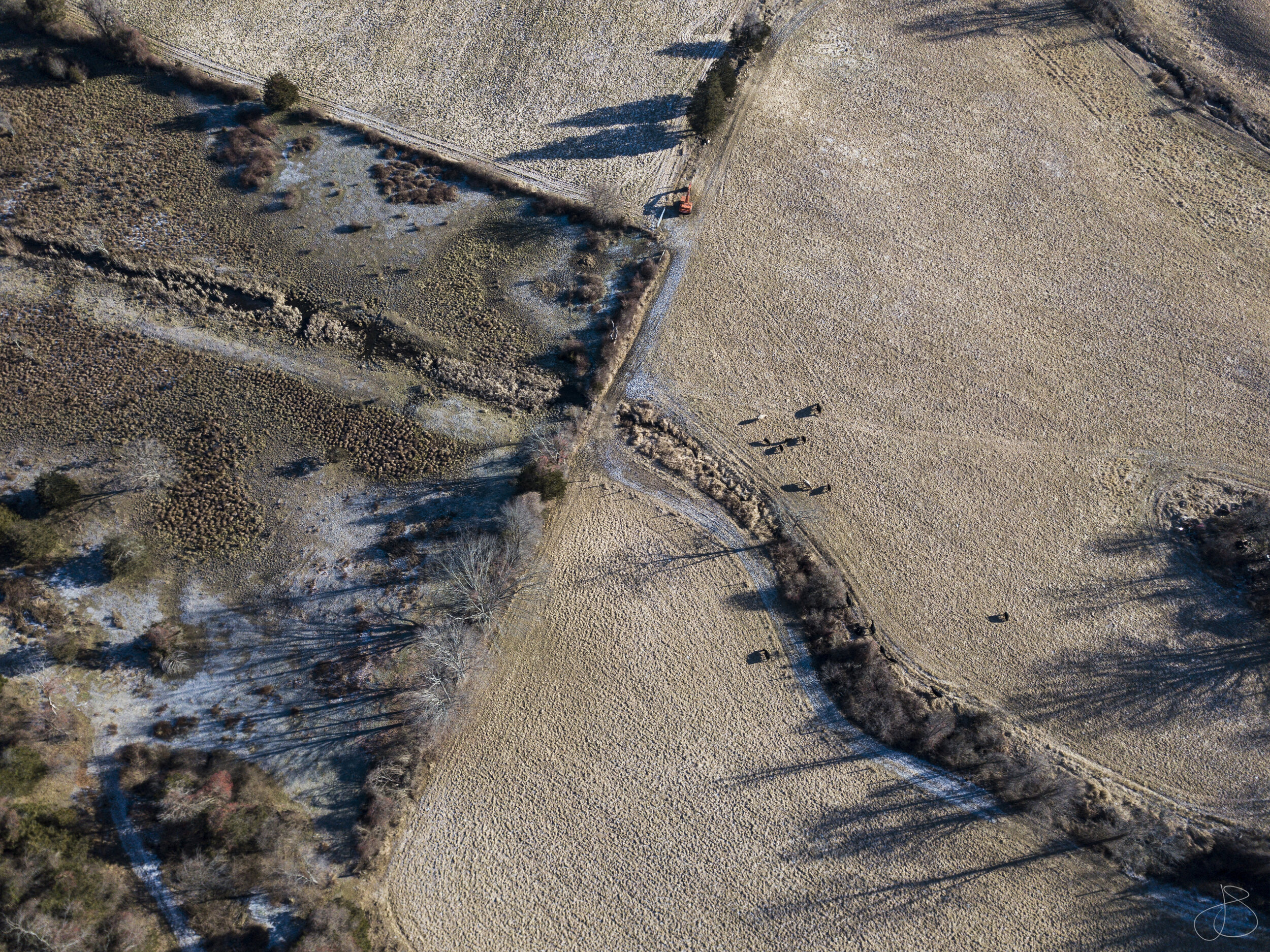 DJI_0066 fields.jpg