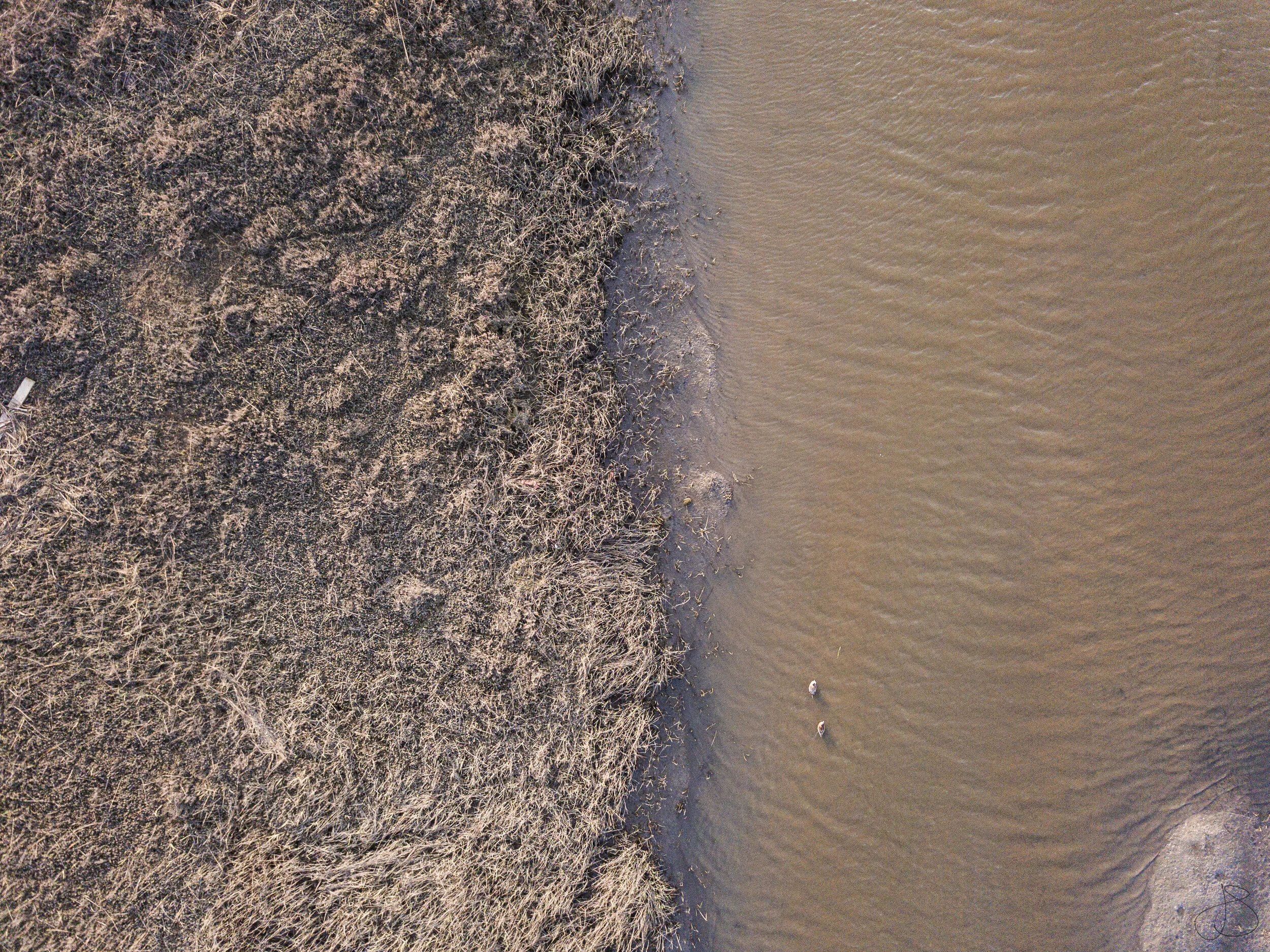 DJI_0106 river.jpg