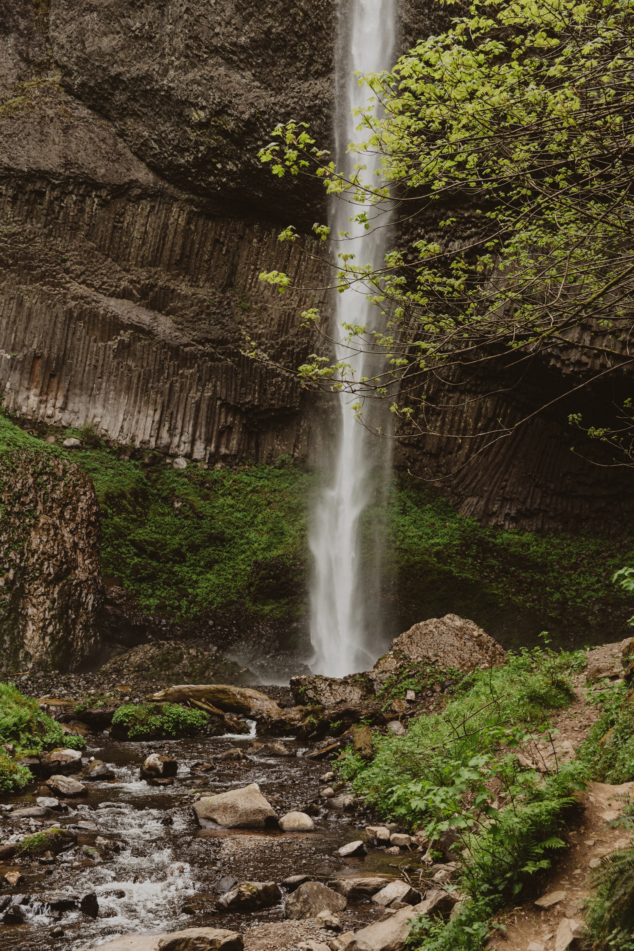 The Klickitat Treehouse x Savannah Karee 30.jpg