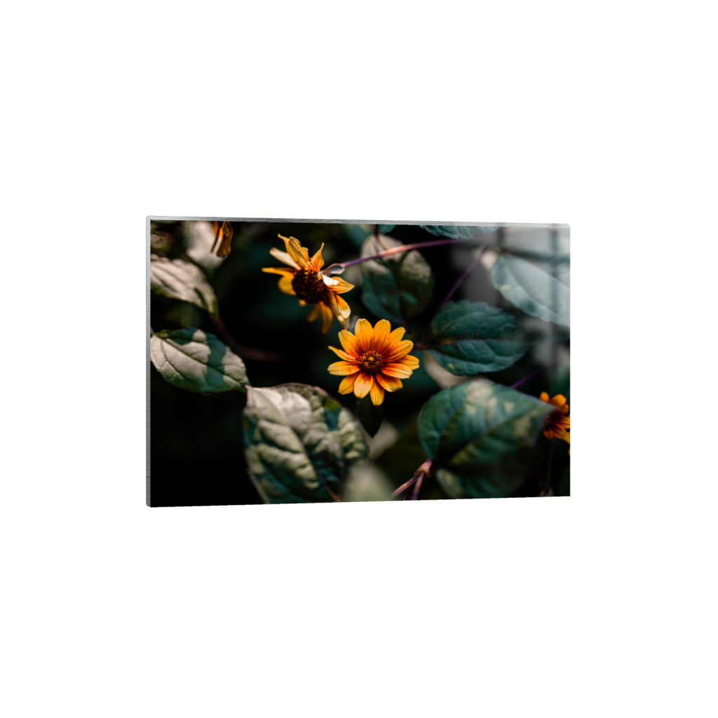 ptq_13_3_0_0_6708_4472_0_false_ffffff_0_0_.png