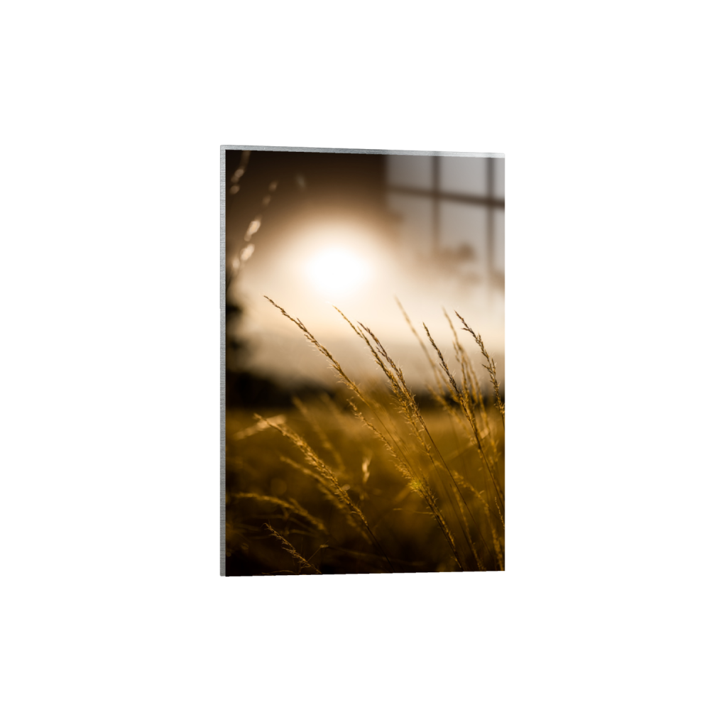 ptq_13_3_0_0_5504_8256_0_false_ffffff_0_0_.png
