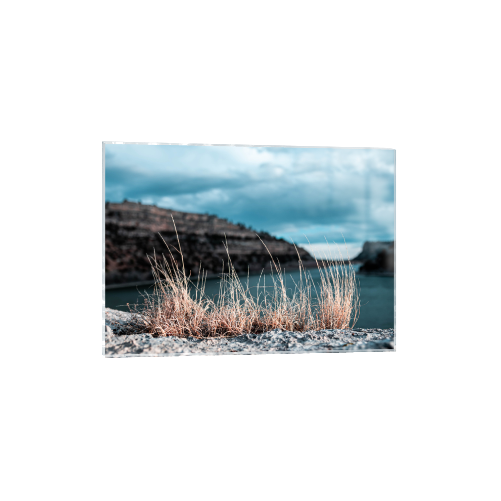 ptq_17_7_591_0_4384_3132_0_false_ffffff_0_0_.png