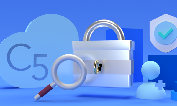 Digital illustration of a lock, magnifying glass, cloud with 'C5' label, shield with check mark, and security shield.