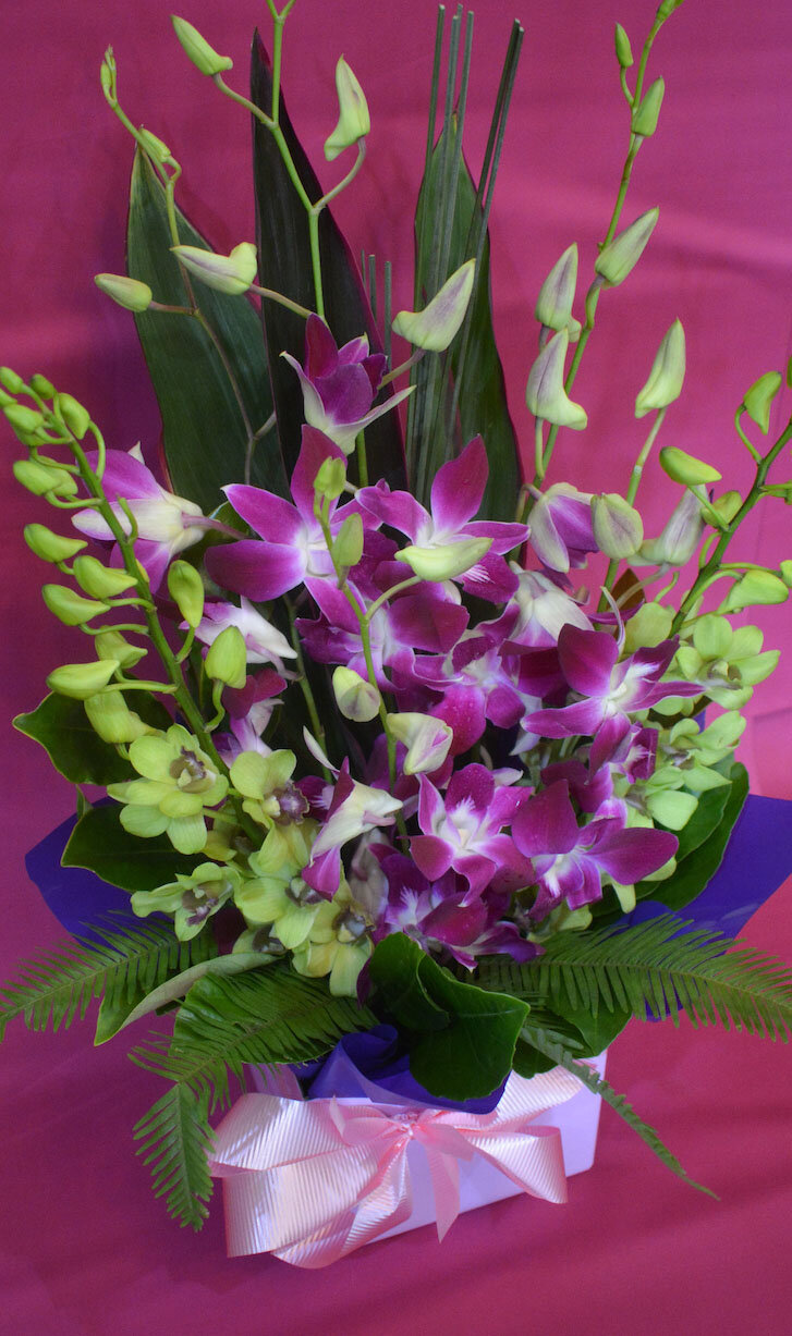orchid box 2.jpg