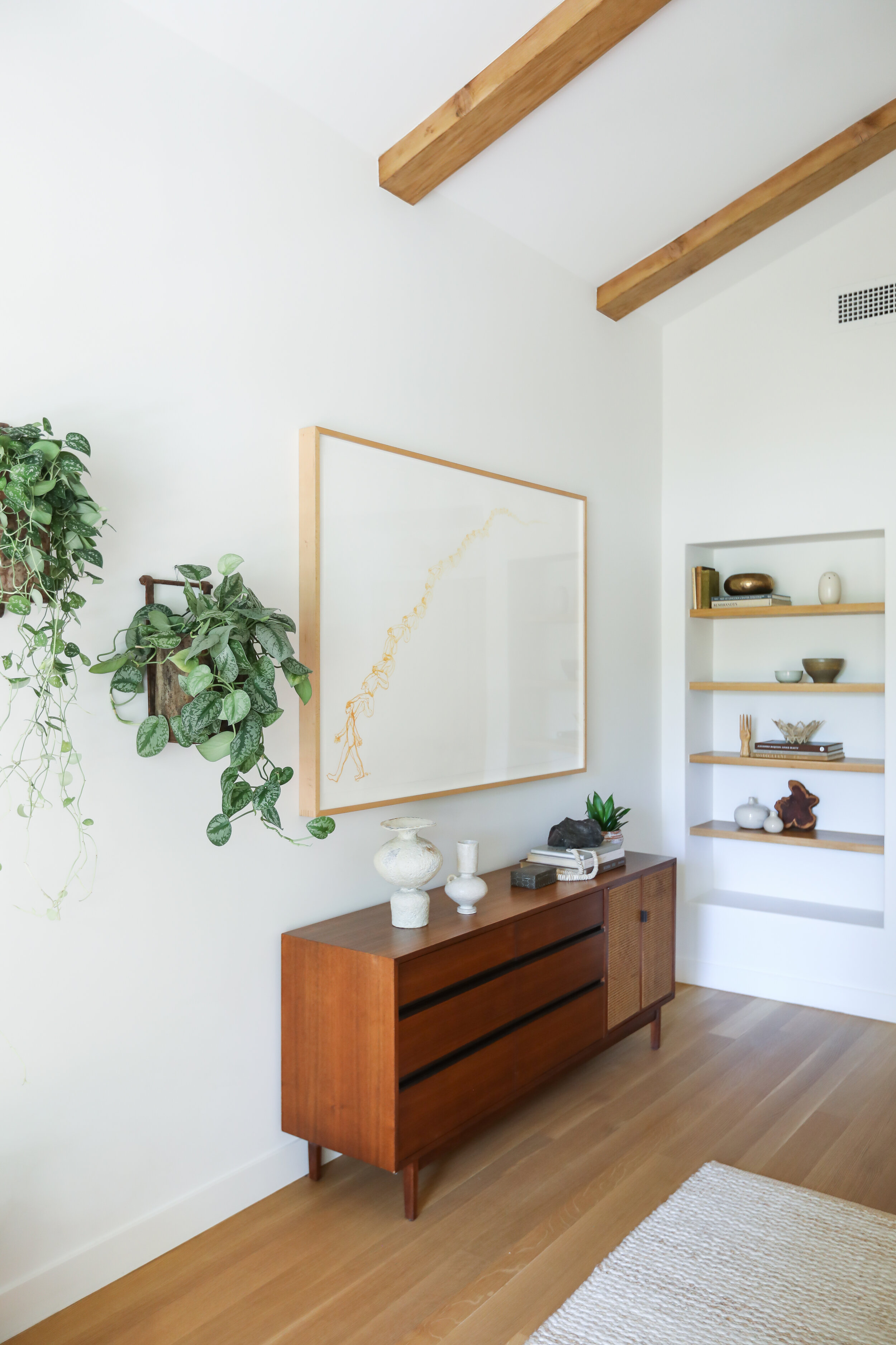 Custom Wall Art. Oversized Wall Art. Wall Hanging Plants. Professional Real Estate Photography.