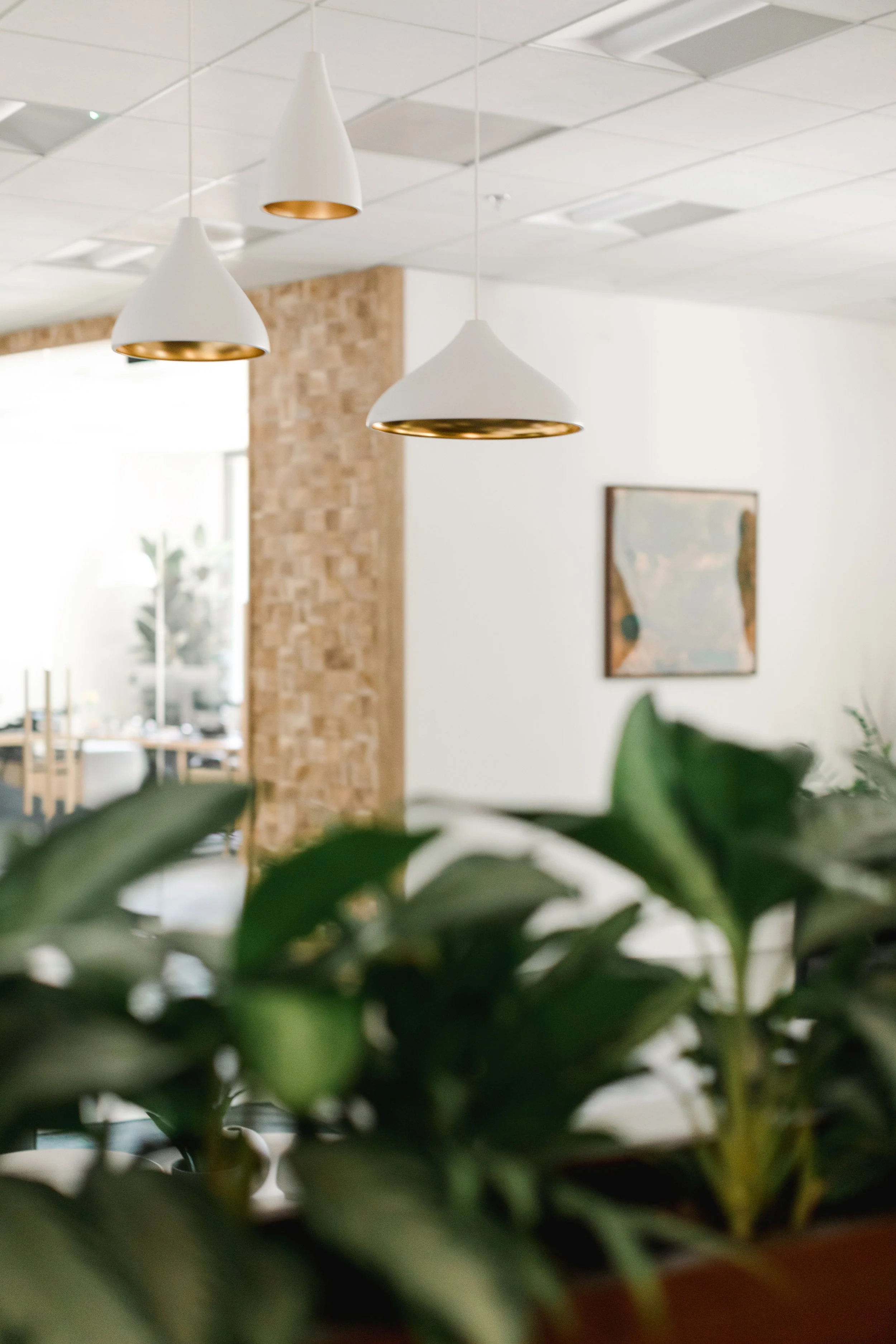 Custom white light fixtures in a modern shared workspace.