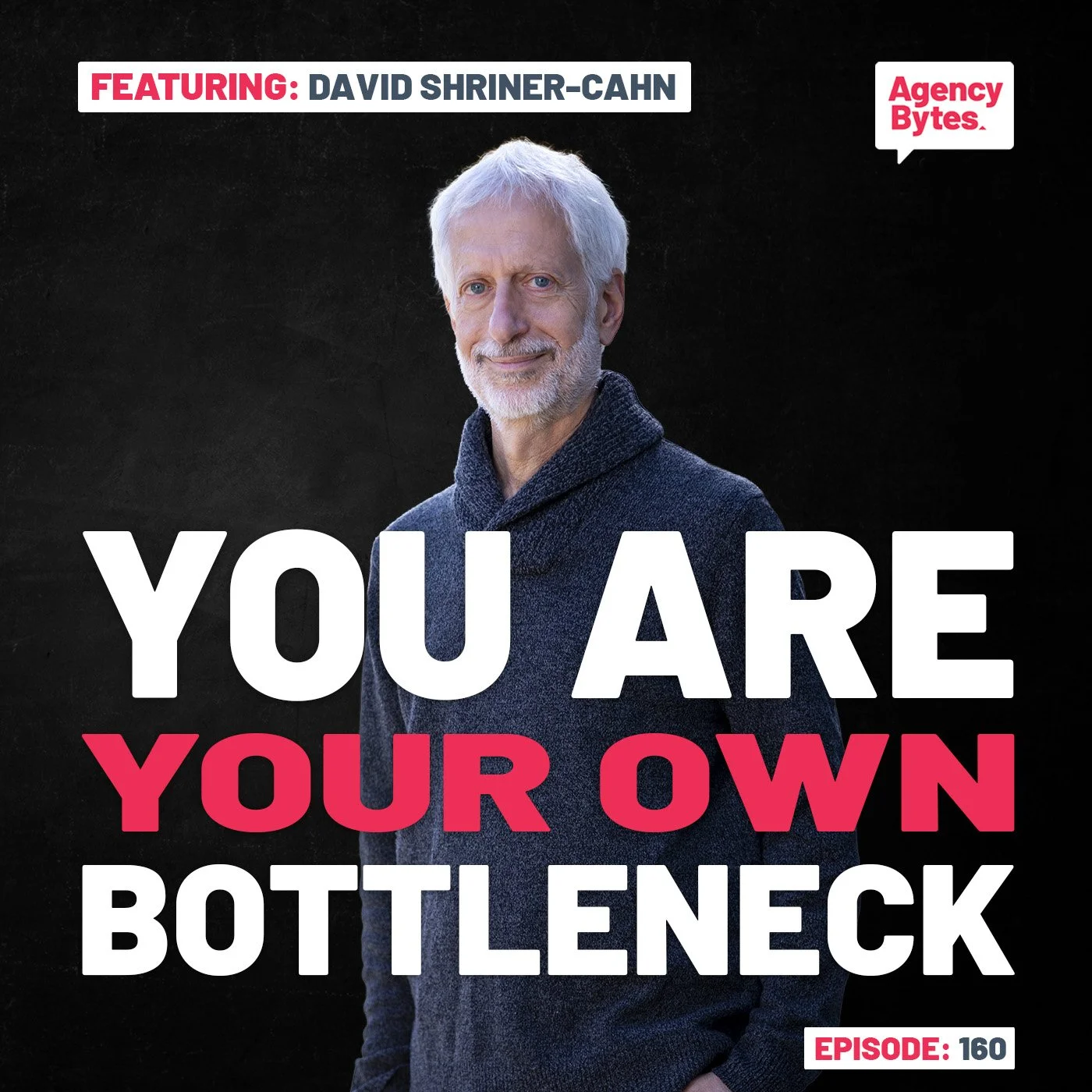 Ep 160 – David Shriner-Cahn, Smashing the Plateau – You Are Your Own Bottleneck — Here's How to Get Out of Your Own Way