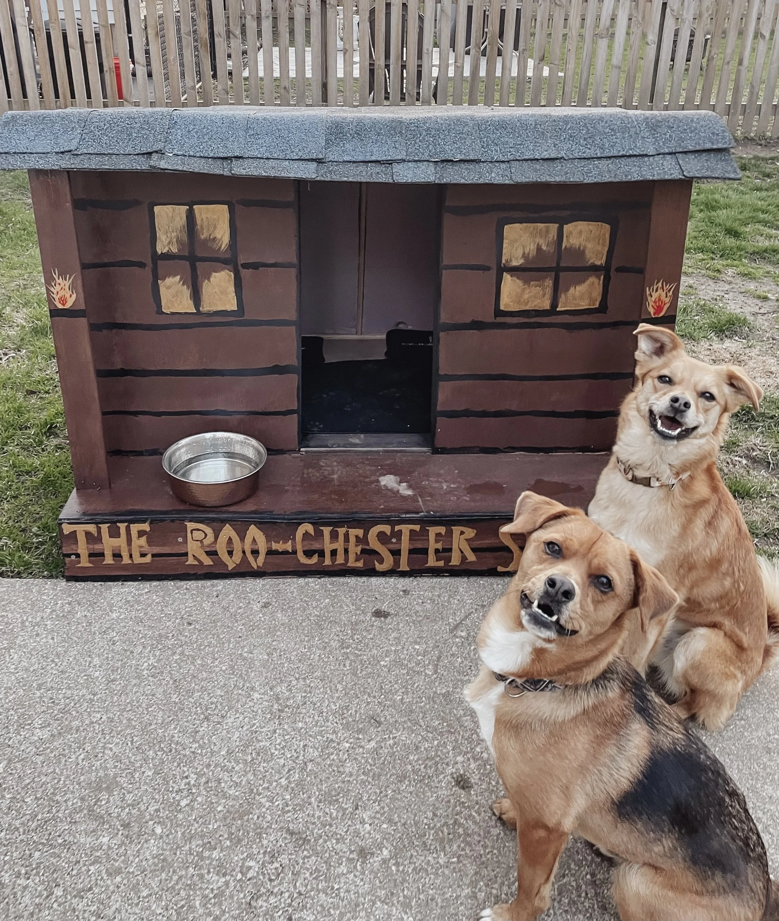 Roo & Chester