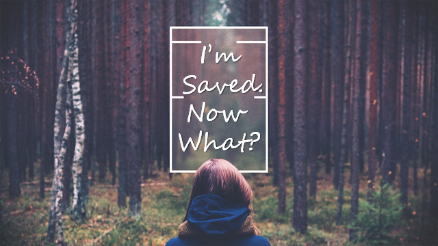I’m Saved. Now What?