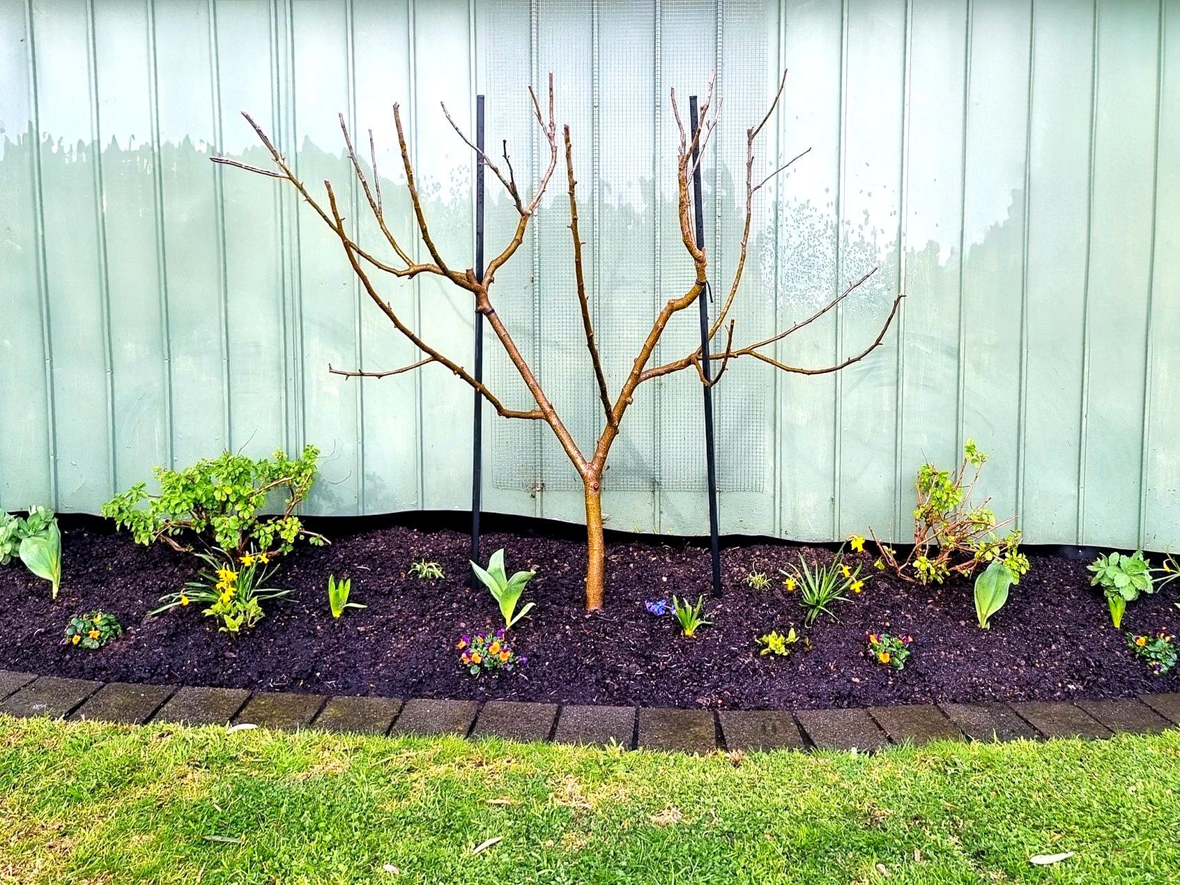 Your New Garden in West &amp; North West Melbourne: What to Expect in the First 3 Months