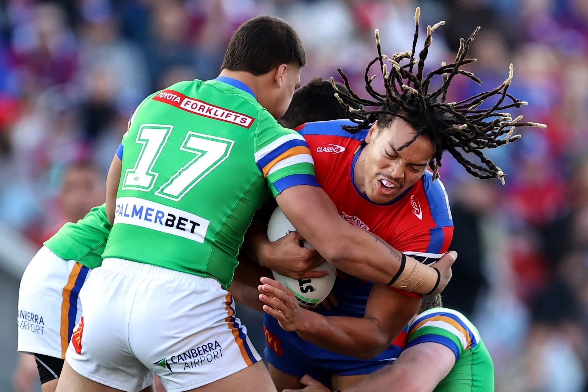NRL_Newcastle Knights_001.jpg