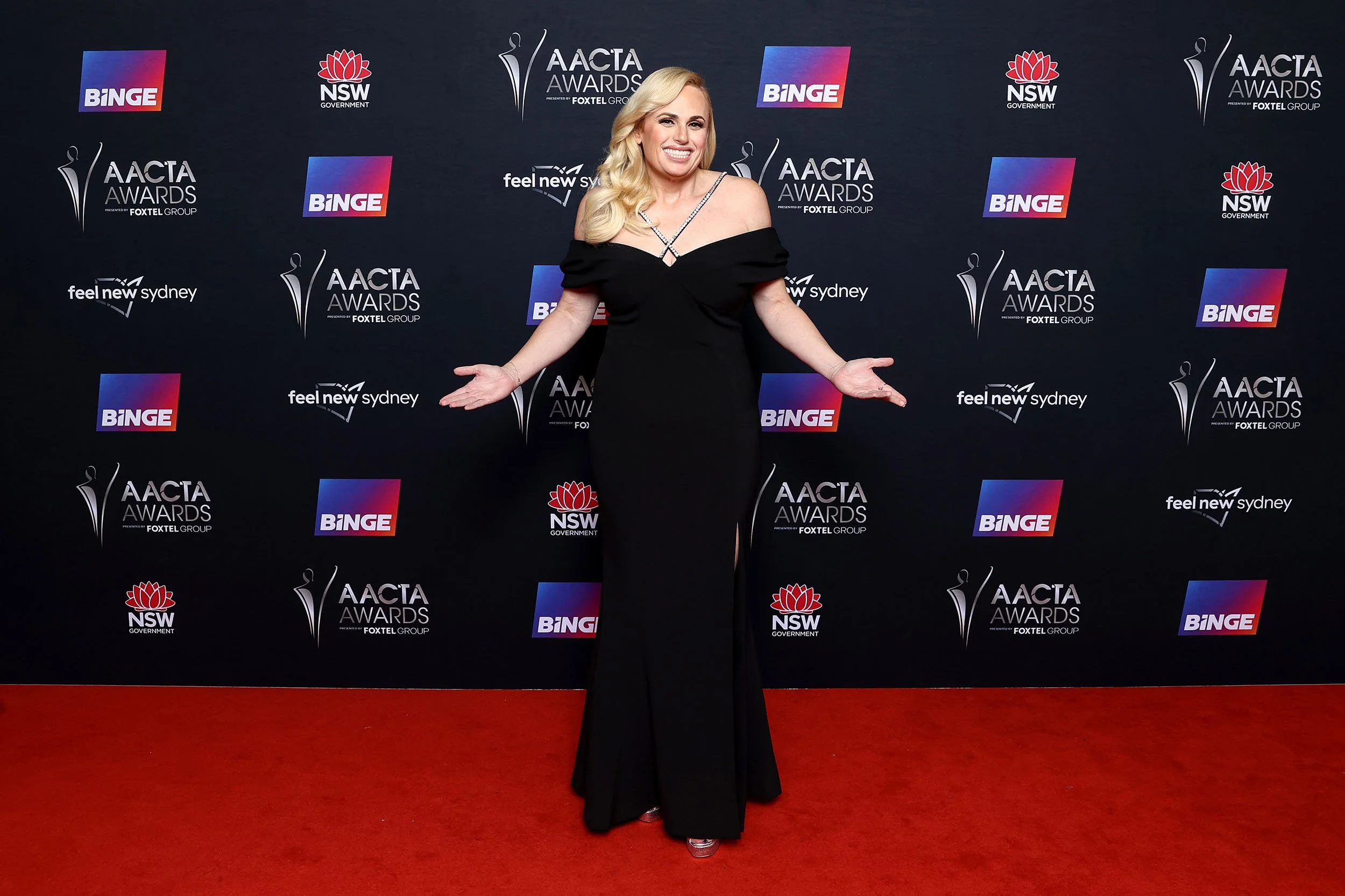 Rebel Wilson_001.jpg