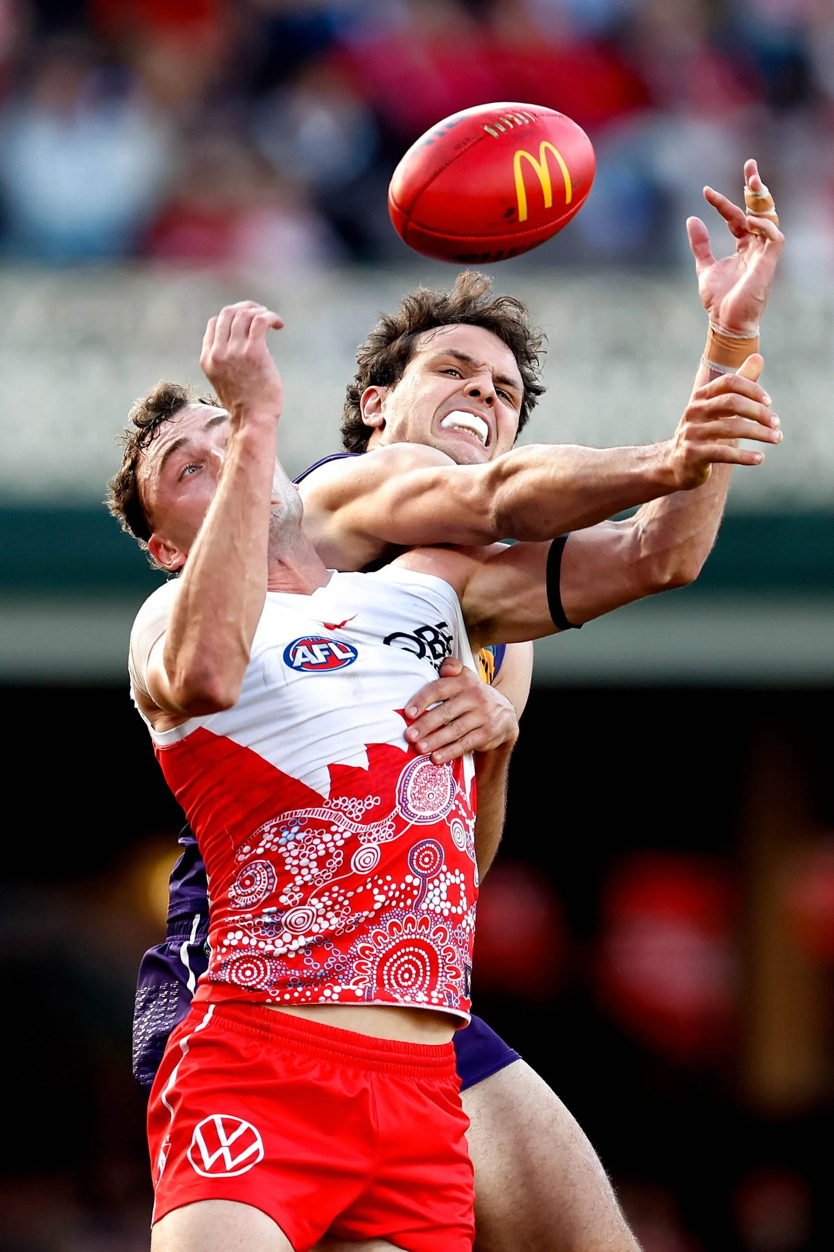 AFL Sydney Swans_001.jpg