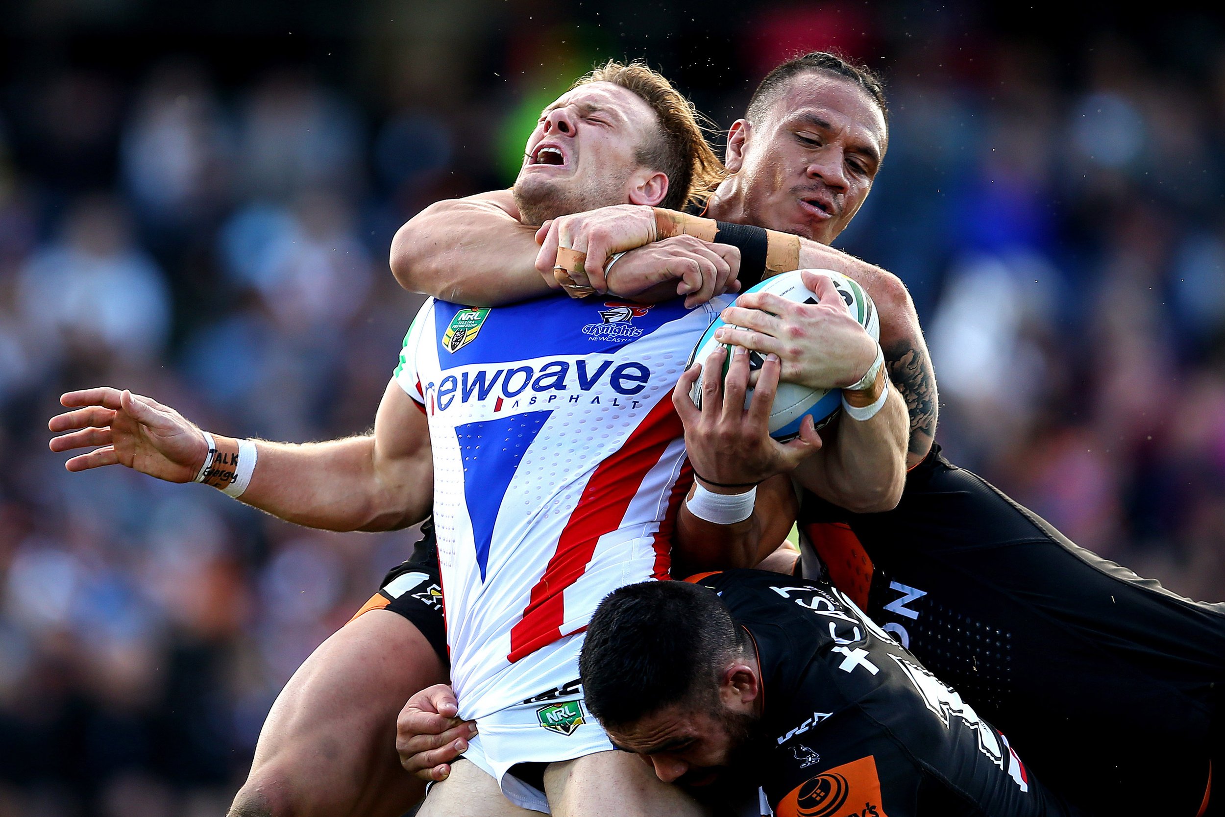 NRL Knights Tigers-001.JPG