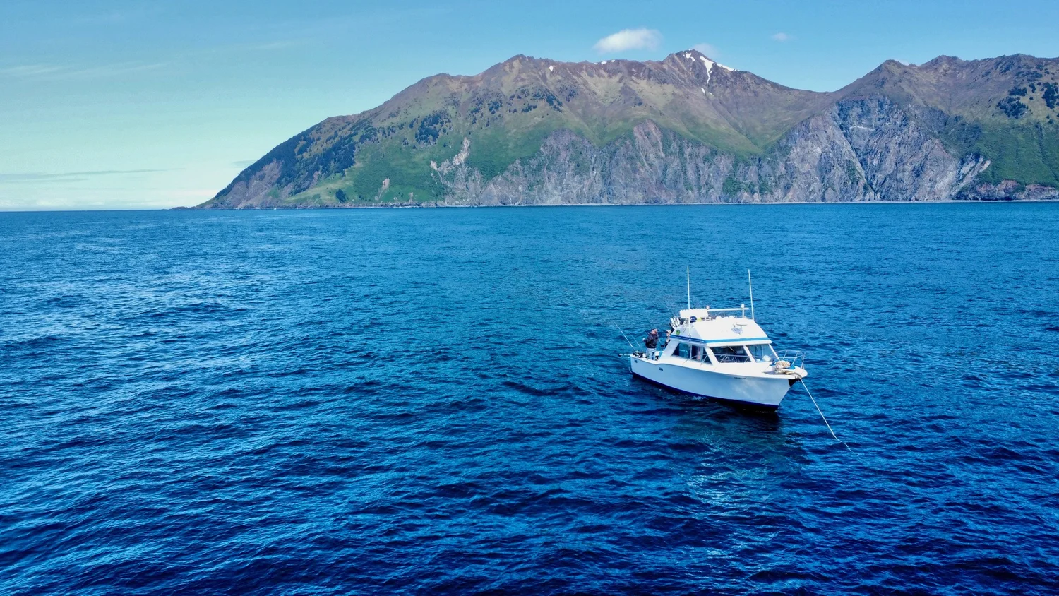 Blount Adventure Cruises — photo 1