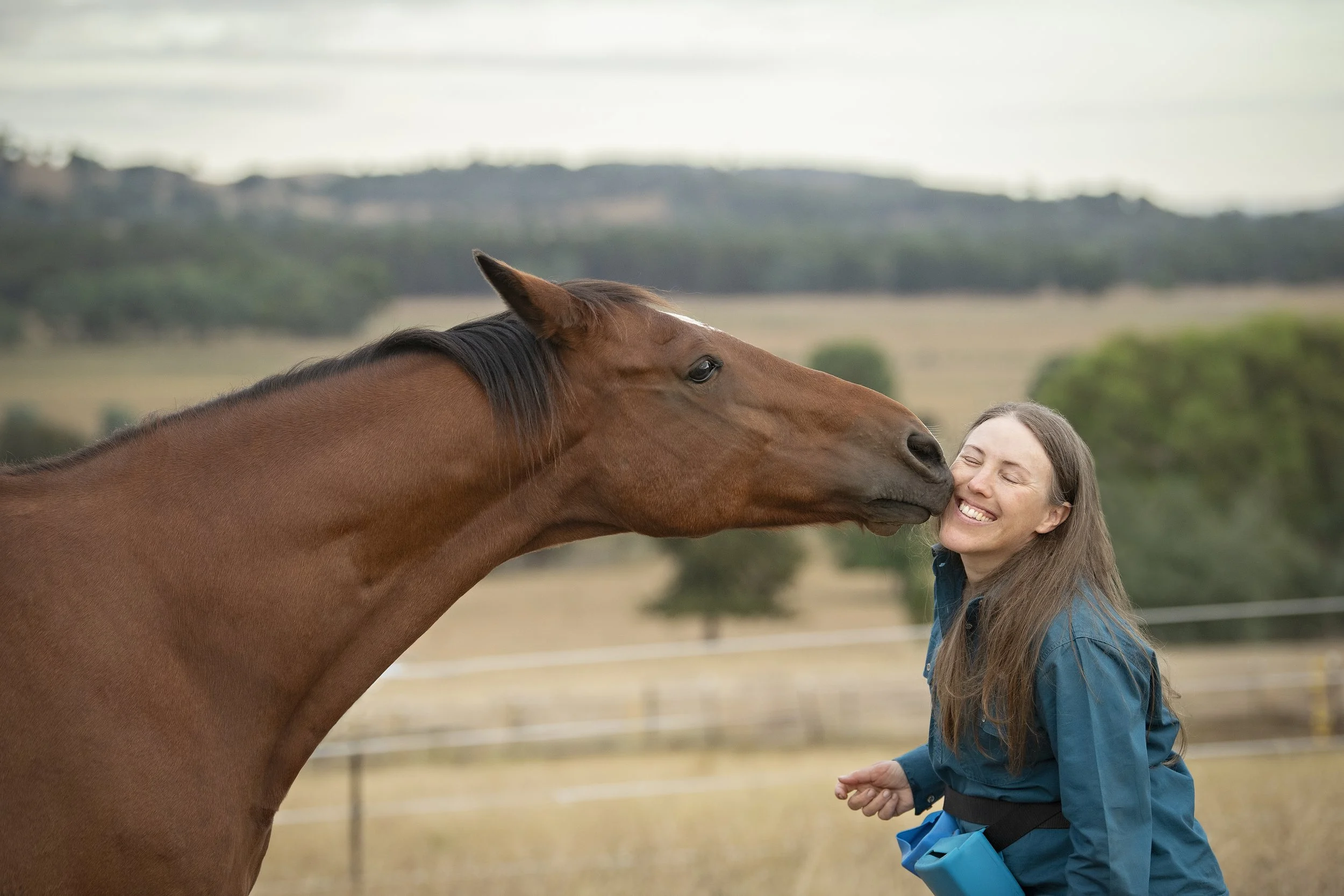 A brown horse has lifted its head and neck to touch the cheek of a woman with its nose