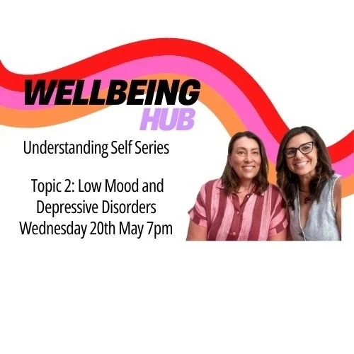 Understanding Self Series  - Low mood and depressive disorders 20th May 7pm