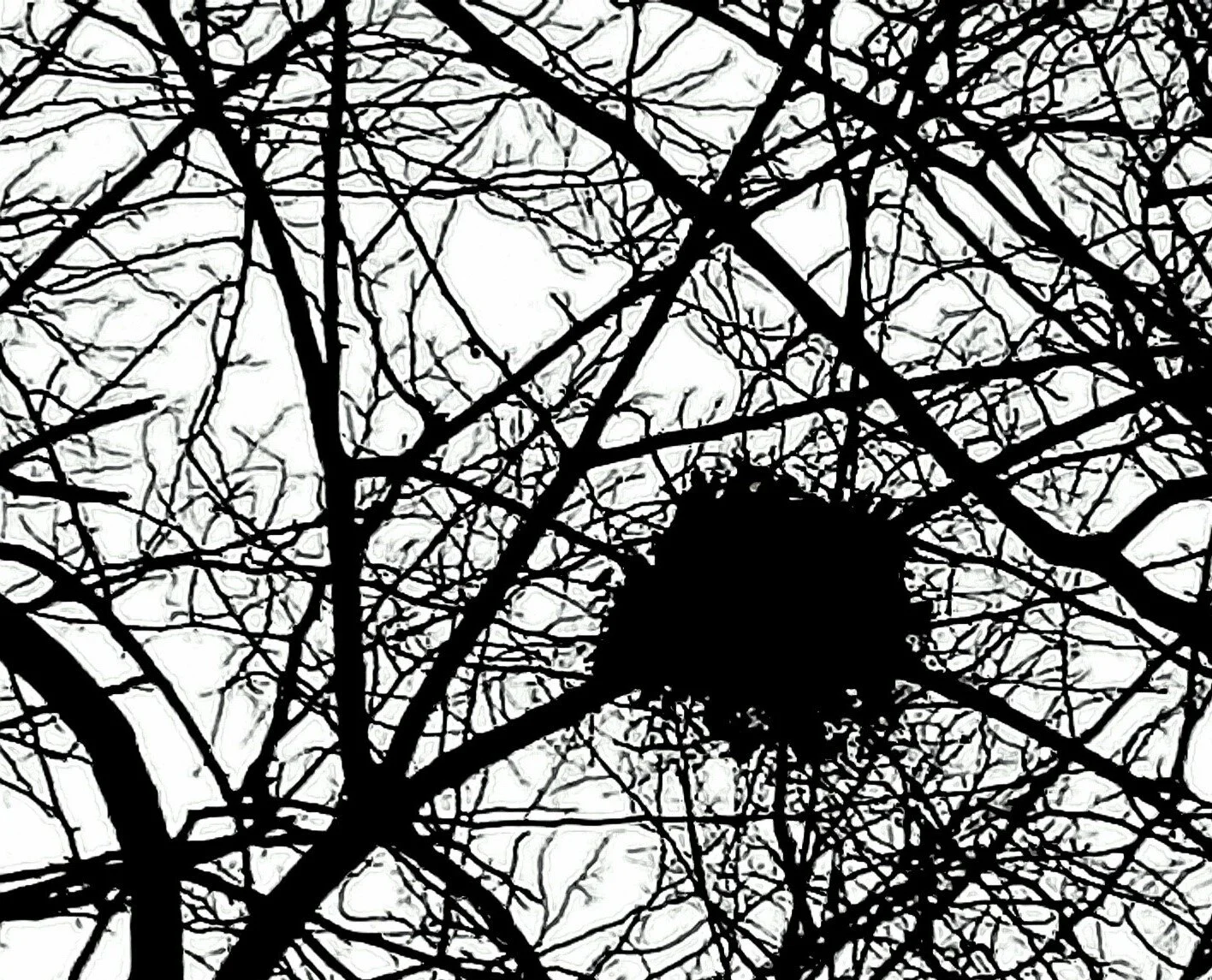 Behind the “seens”…