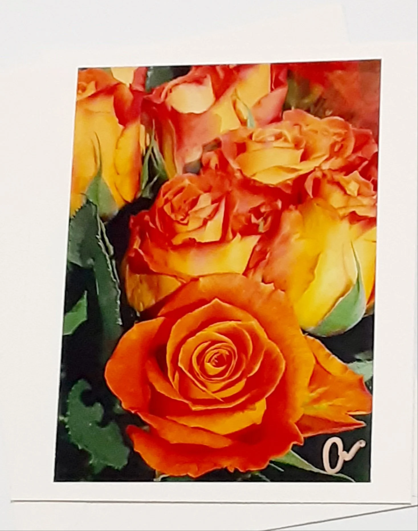 Orange Rose 20220601_215917.jpg