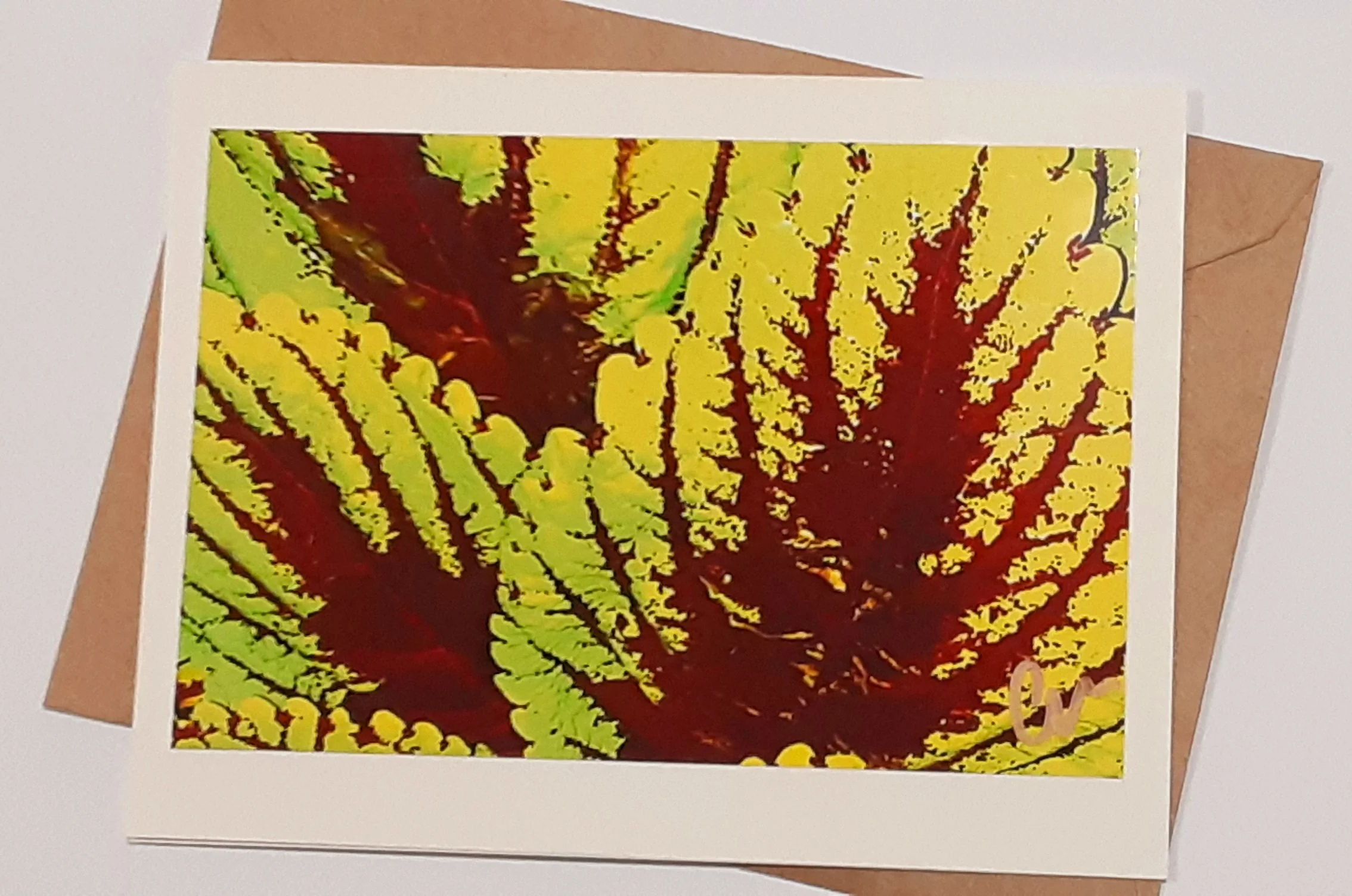 Burgundy Chartreuse Leaves Yellow Brown 20220601_221804.jpg