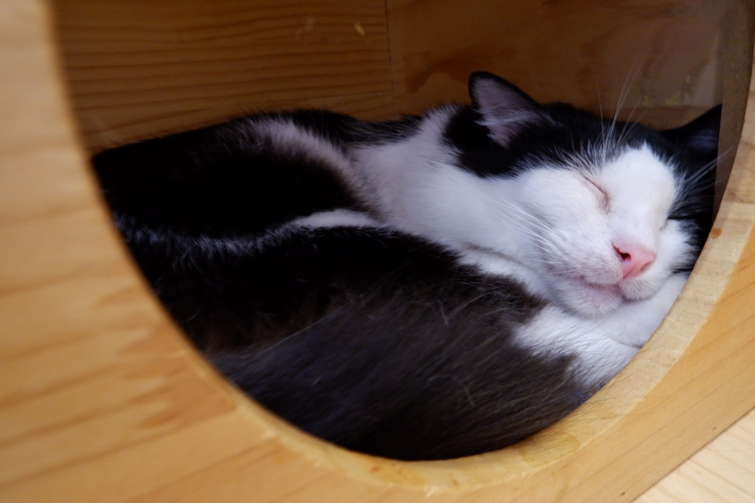 DSCF2429.JPG