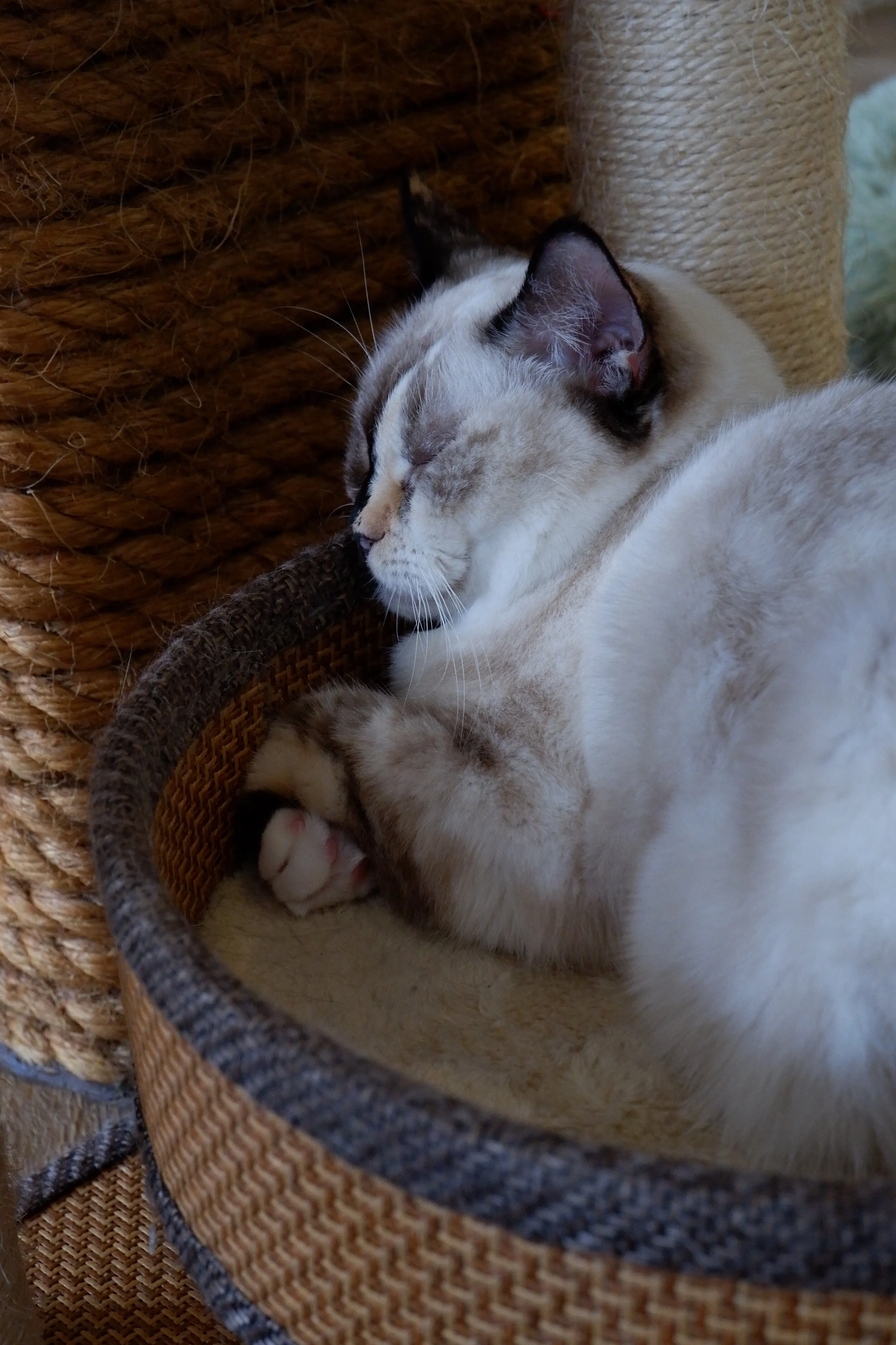DSCF2418.JPG