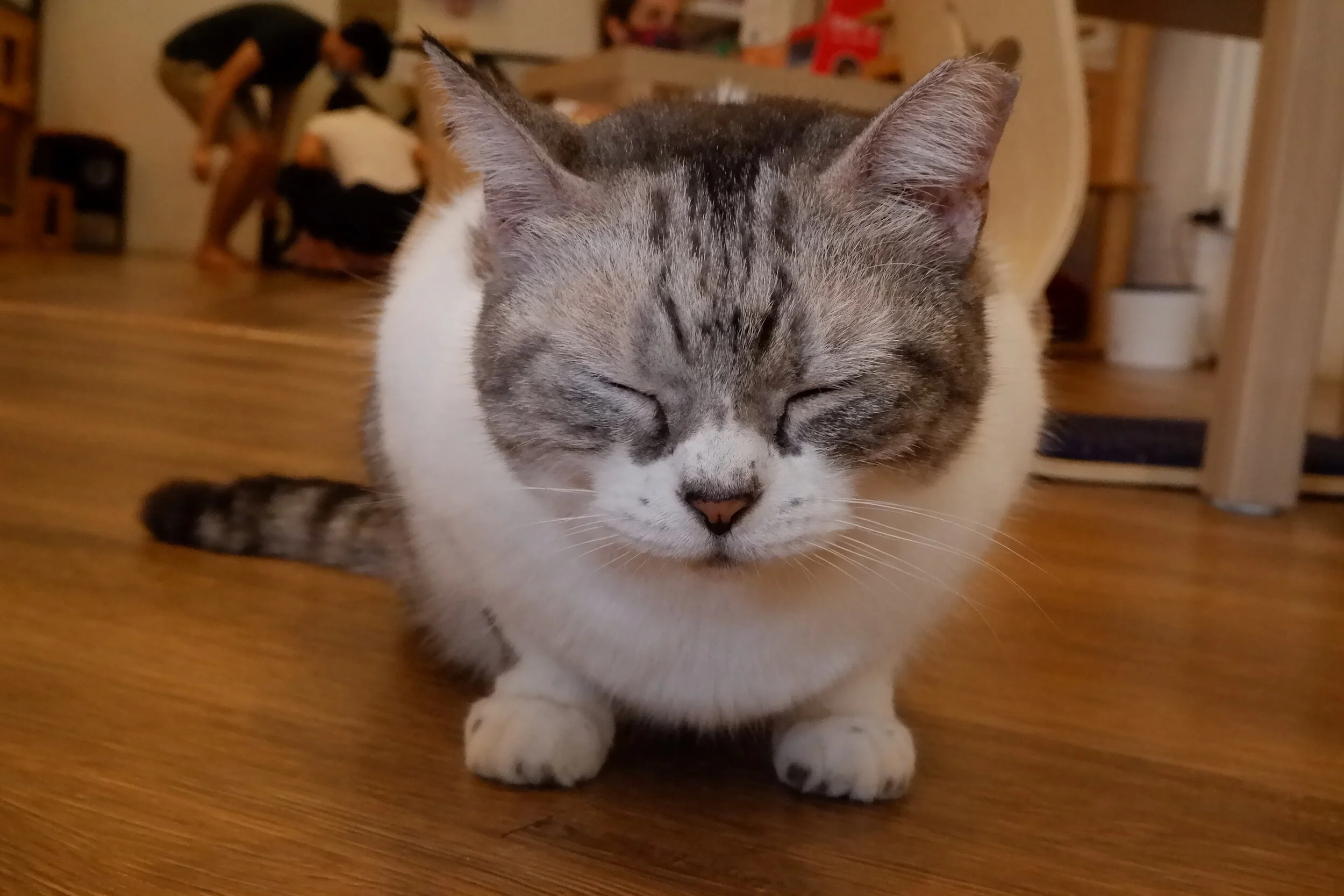 DSCF2490.JPG