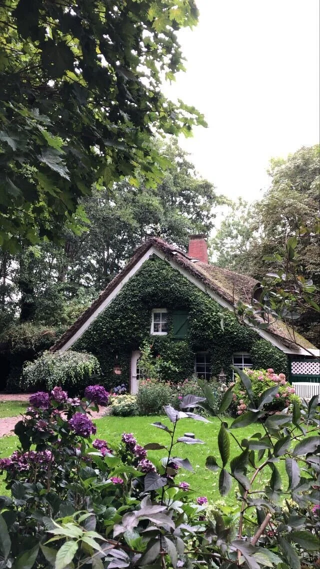 Image from iOS (42).jpg