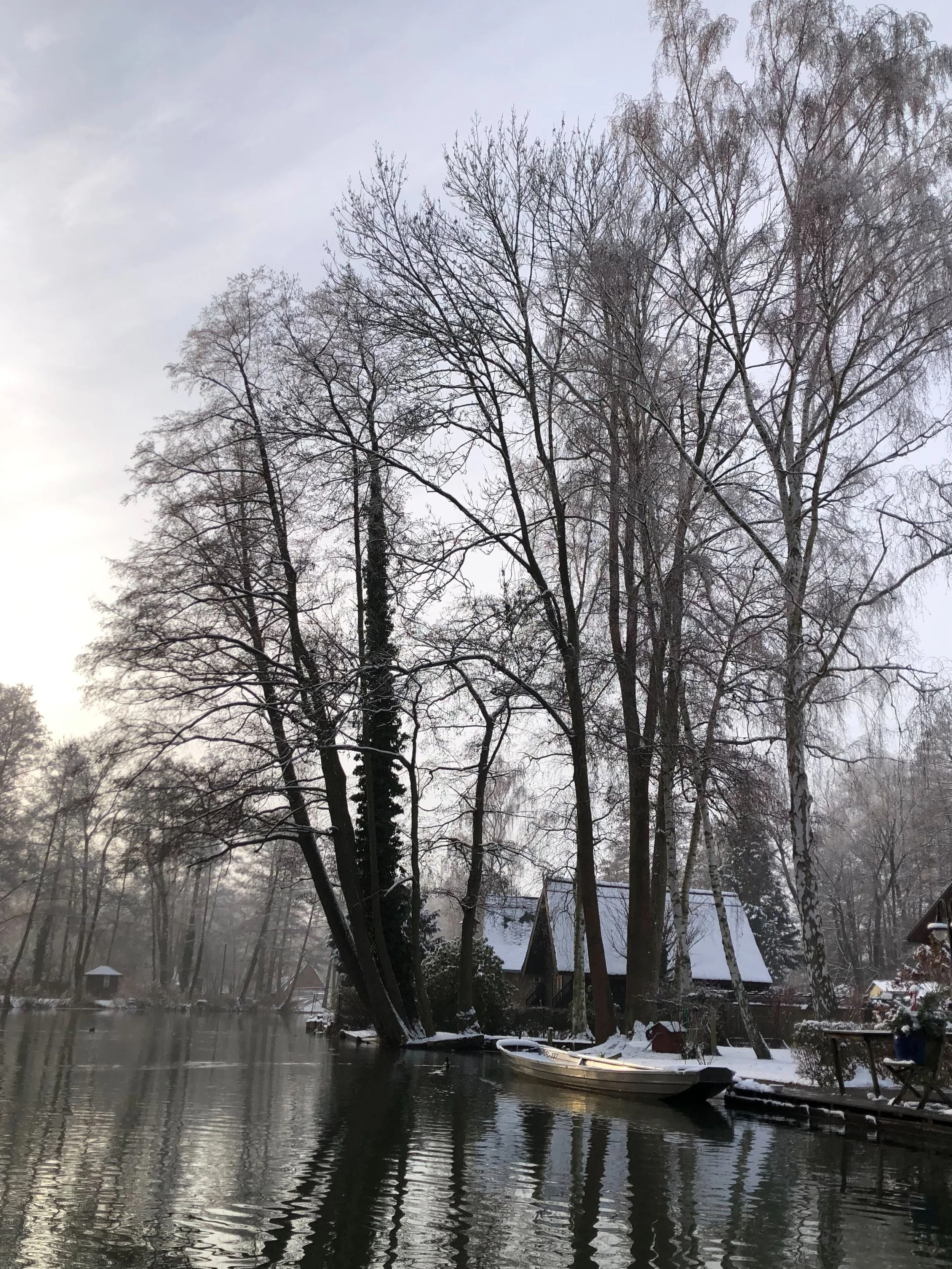 Image from iOS (31).jpg