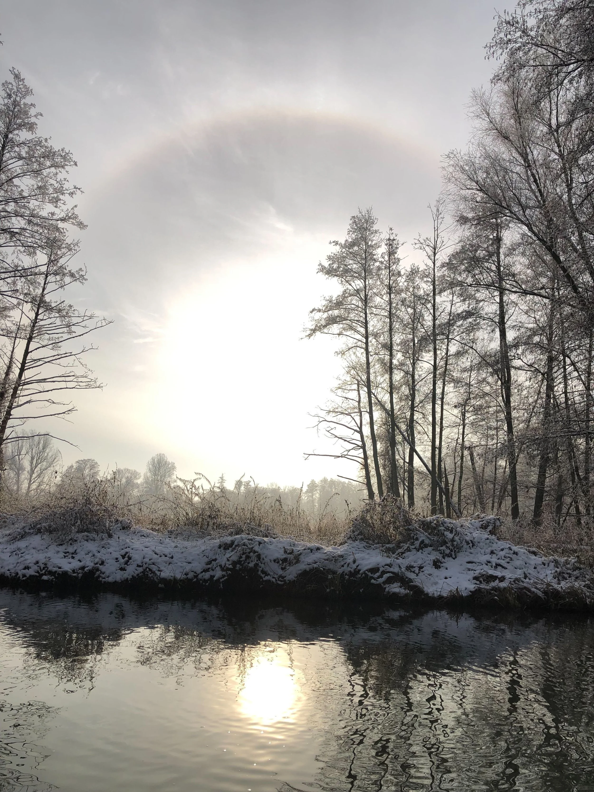 Image from iOS (33).jpg