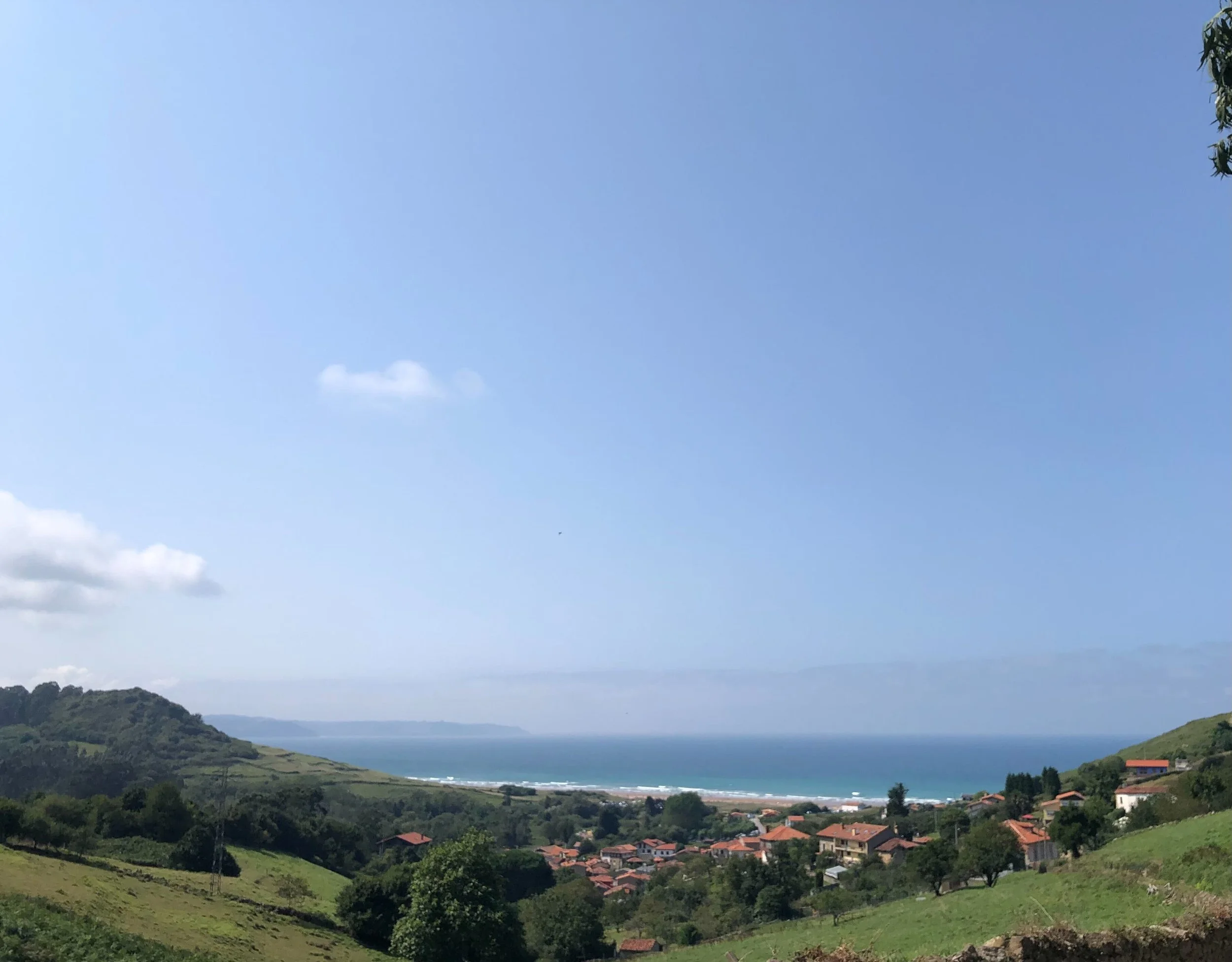 Image from iOS (29).jpg