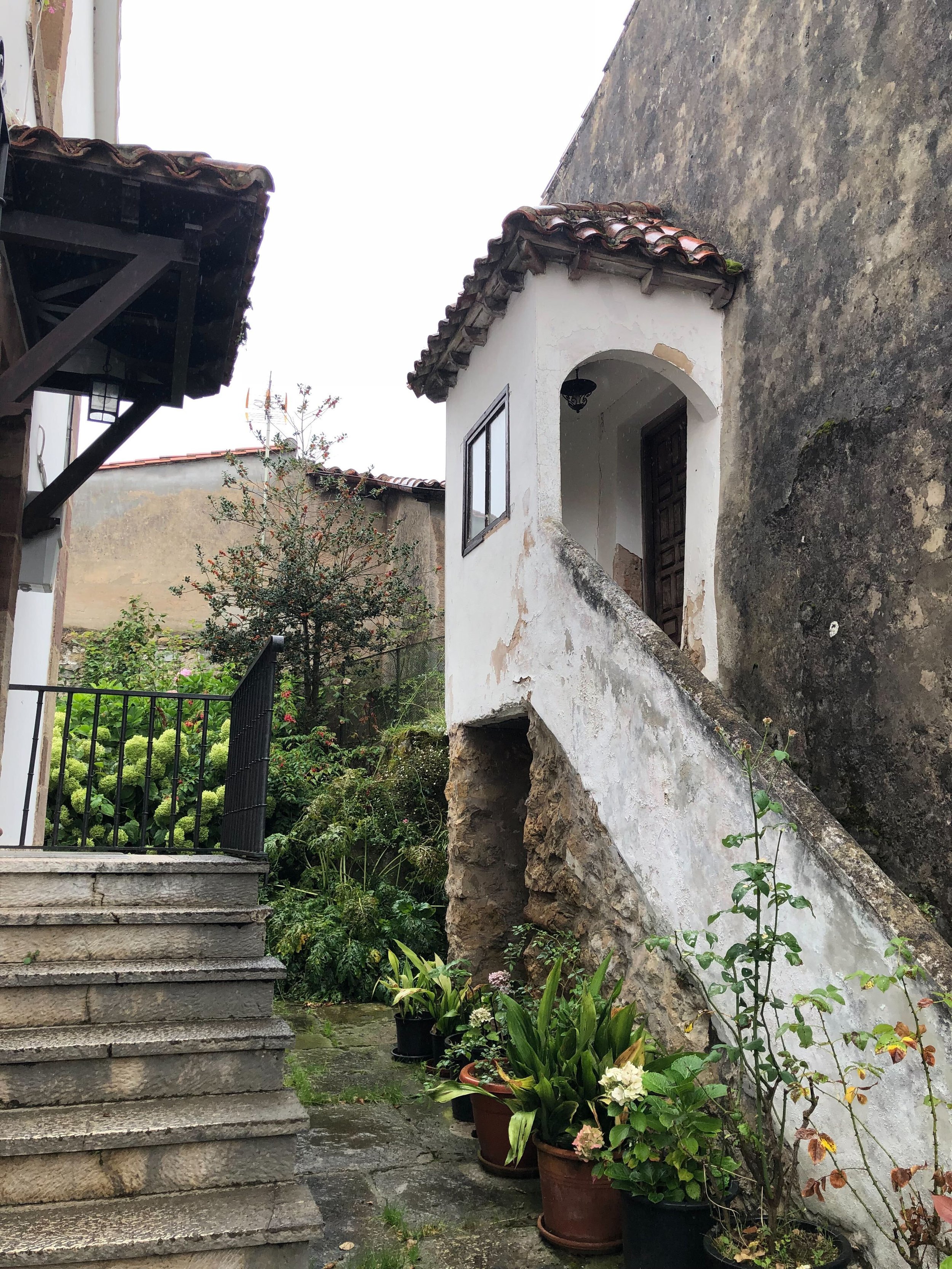 Image from iOS (26).jpg