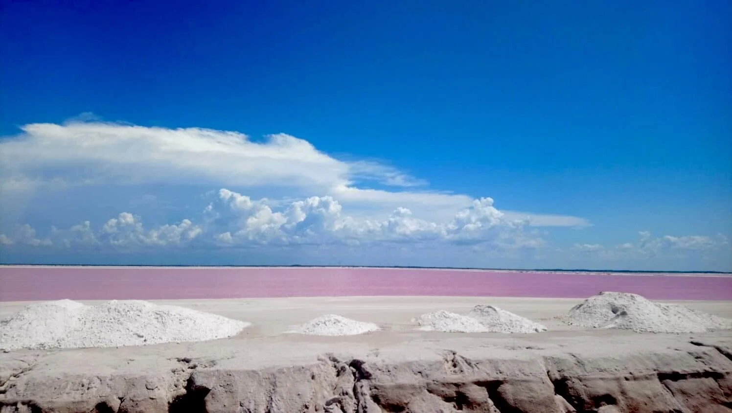 Image from iOS (18).jpg