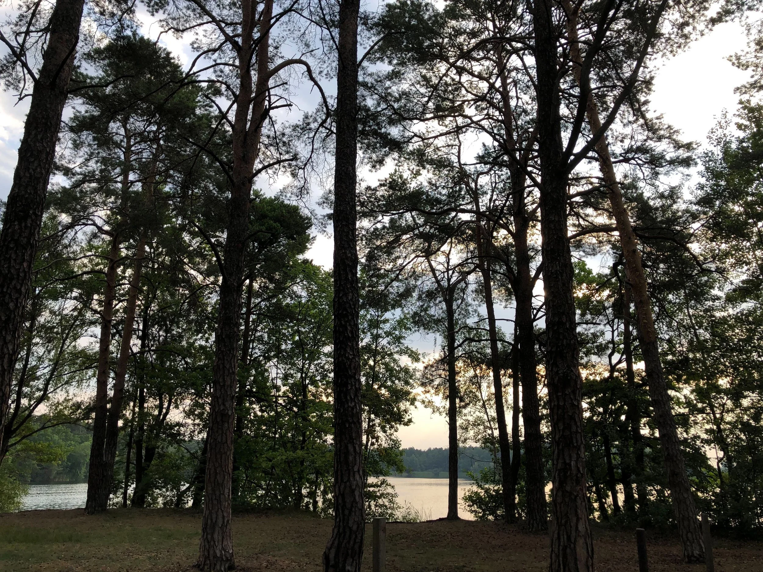 Image from iOS (23).jpg