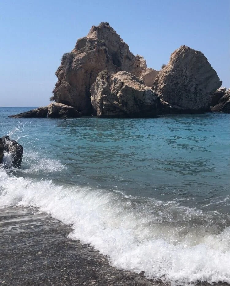 Image from iOS (19).jpg