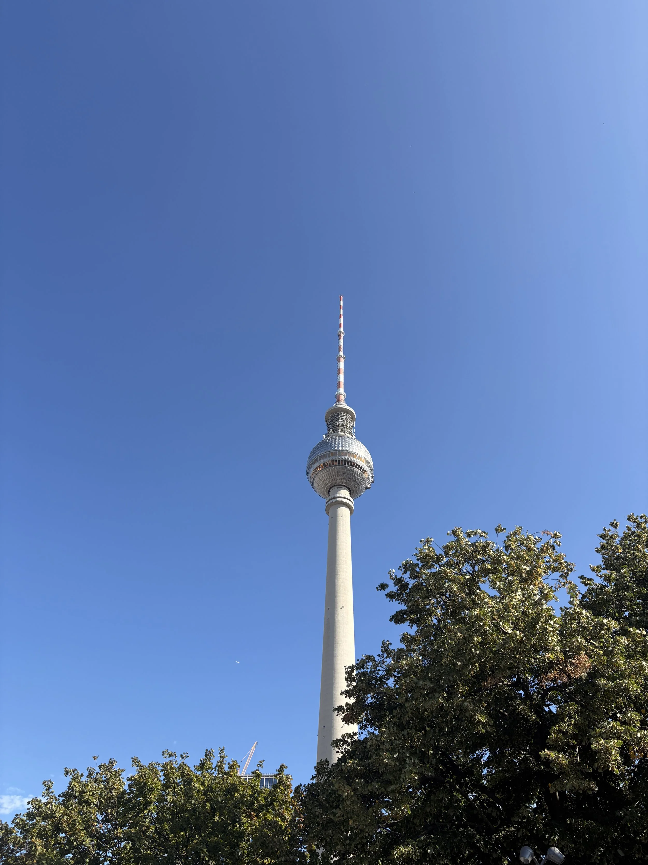 The Berlin TV tower, set against a clear blue sky. Trees with green leaves are in the foreground.