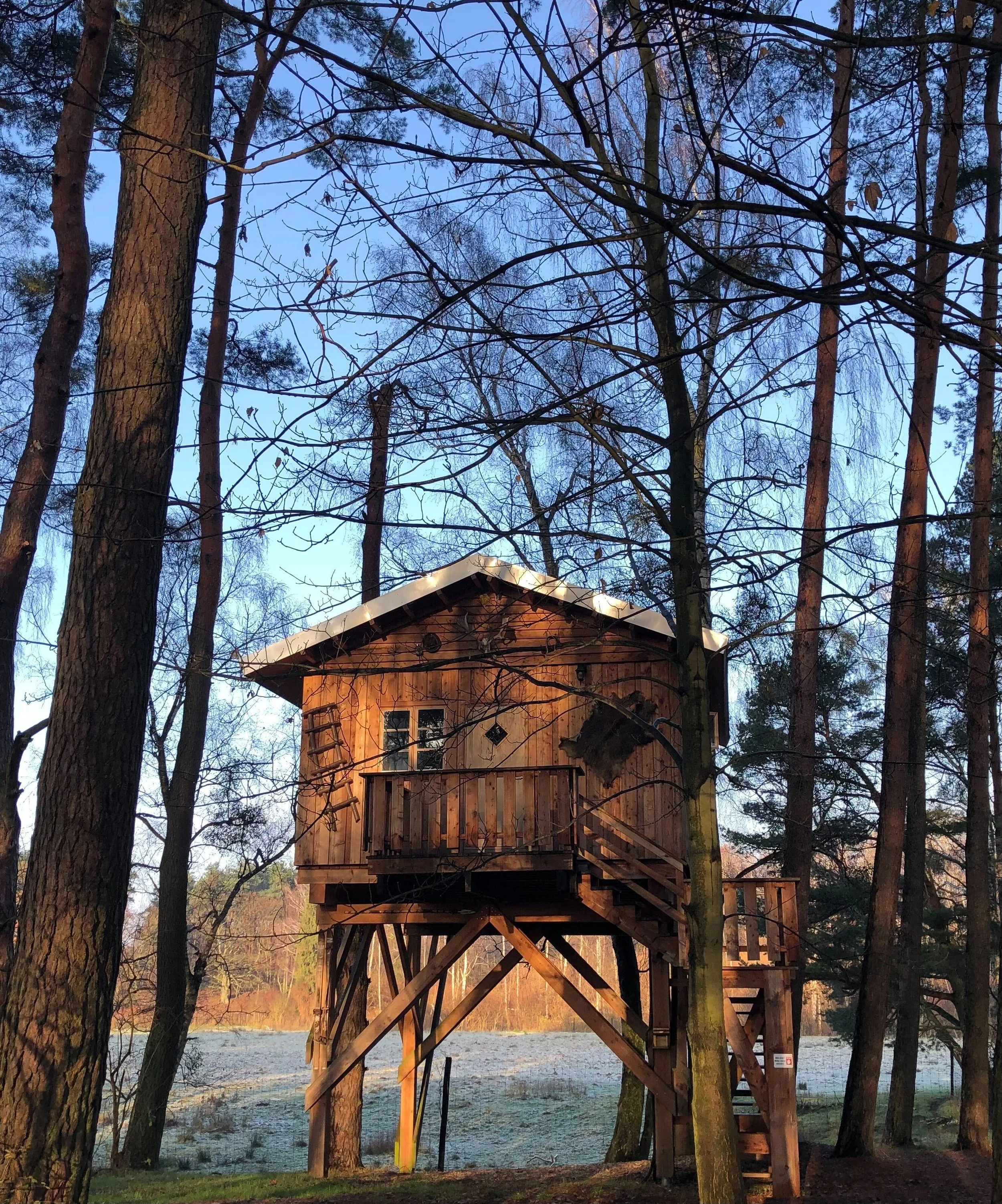 Image from iOS (32).jpg