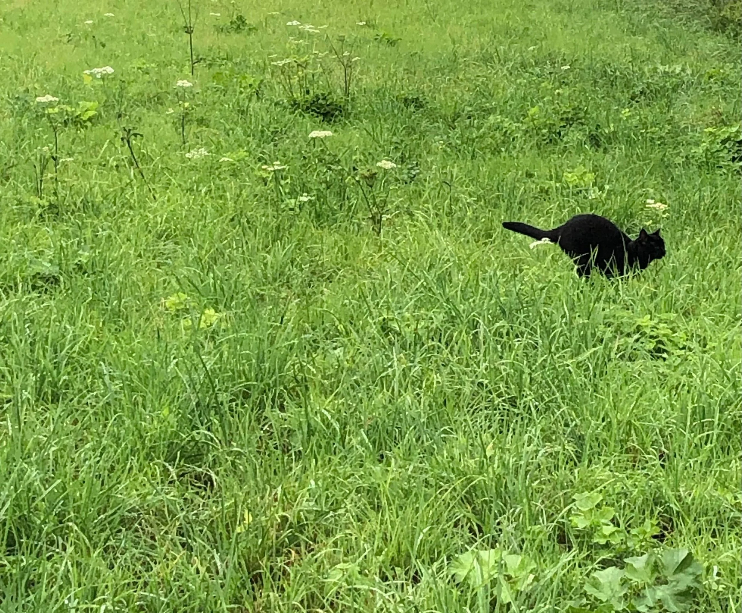 Image from iOS (24).jpg