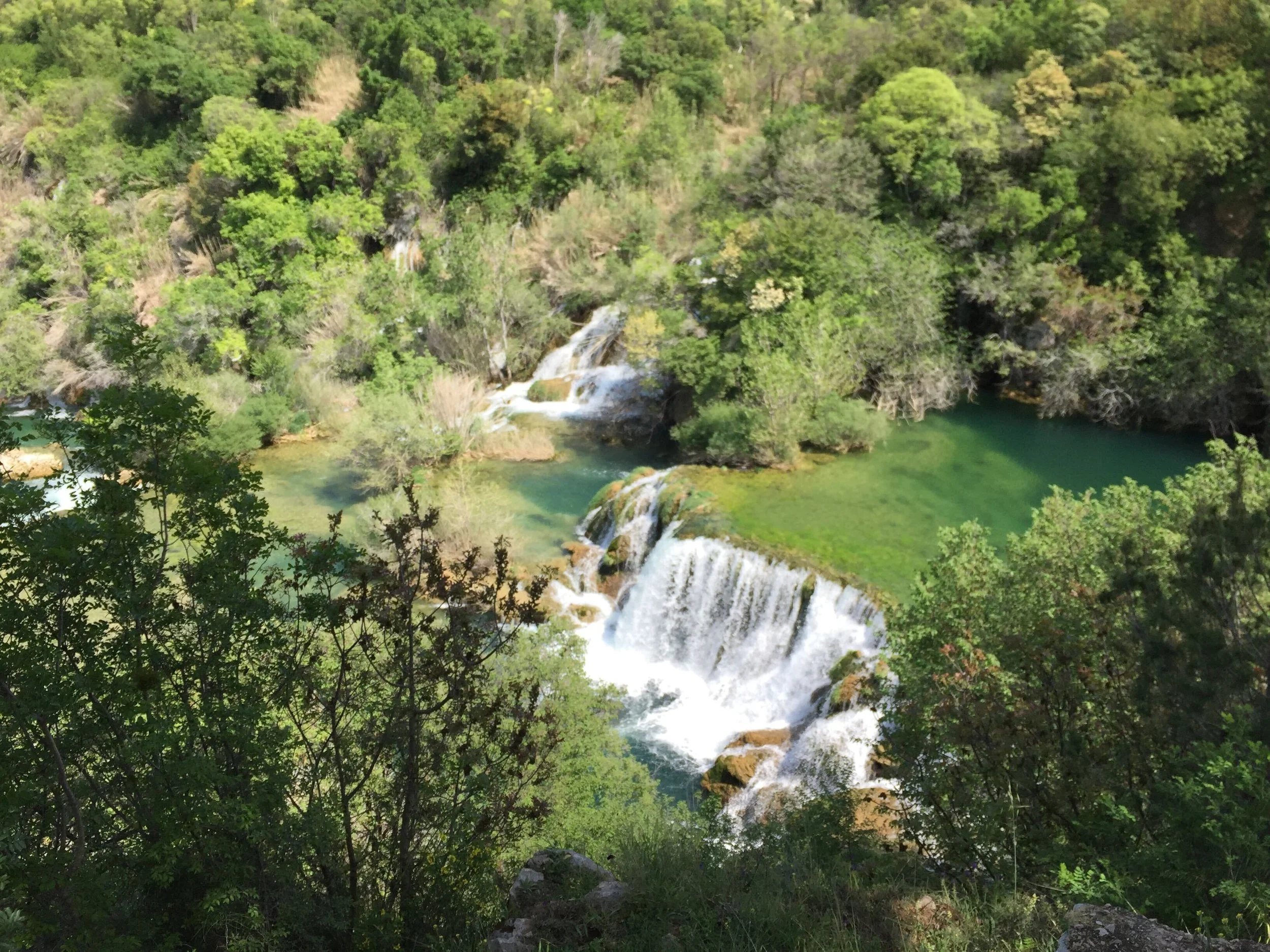 Image from iOS (20).jpg