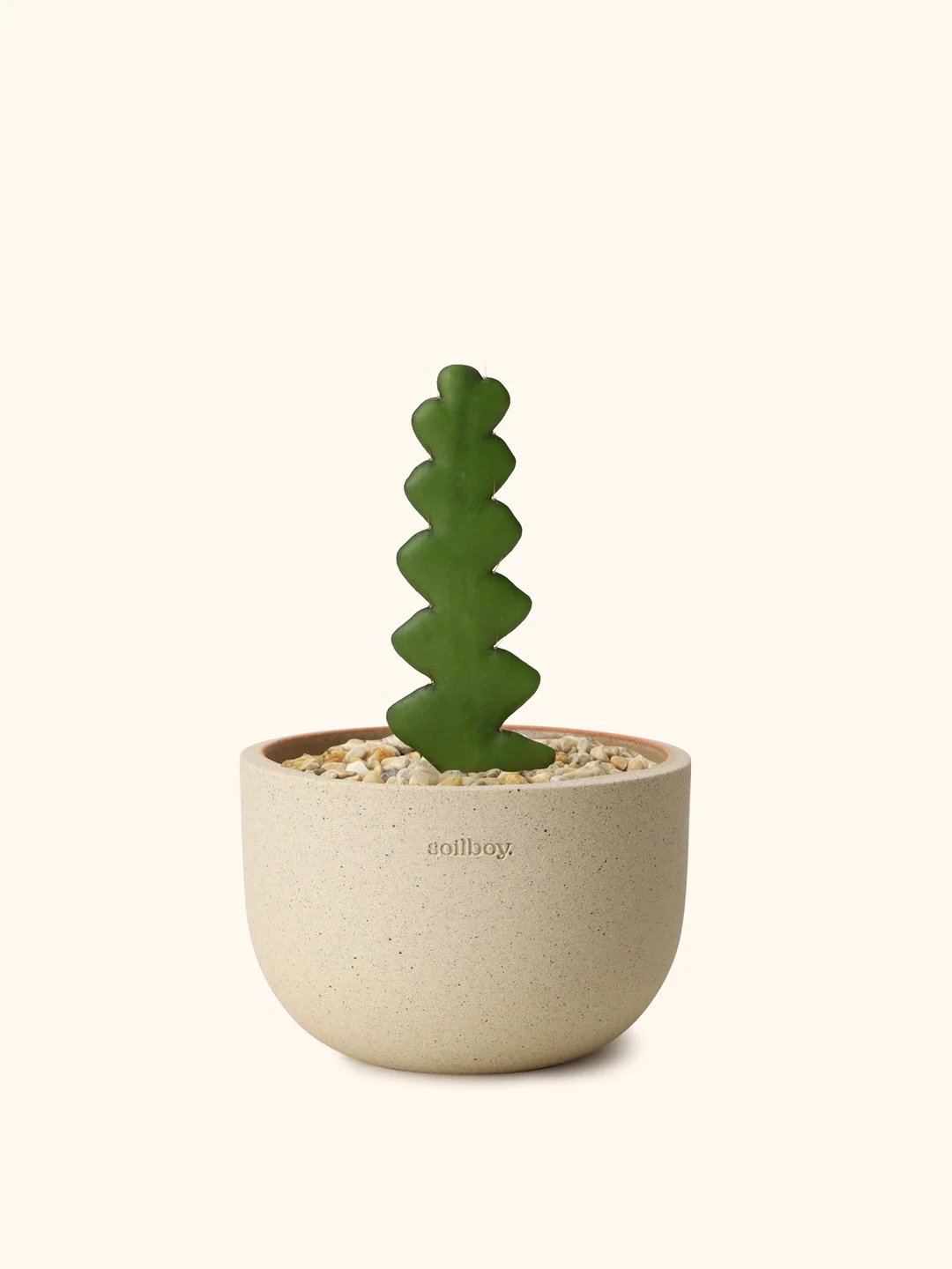 fishbone-cactus-obj01.jpg